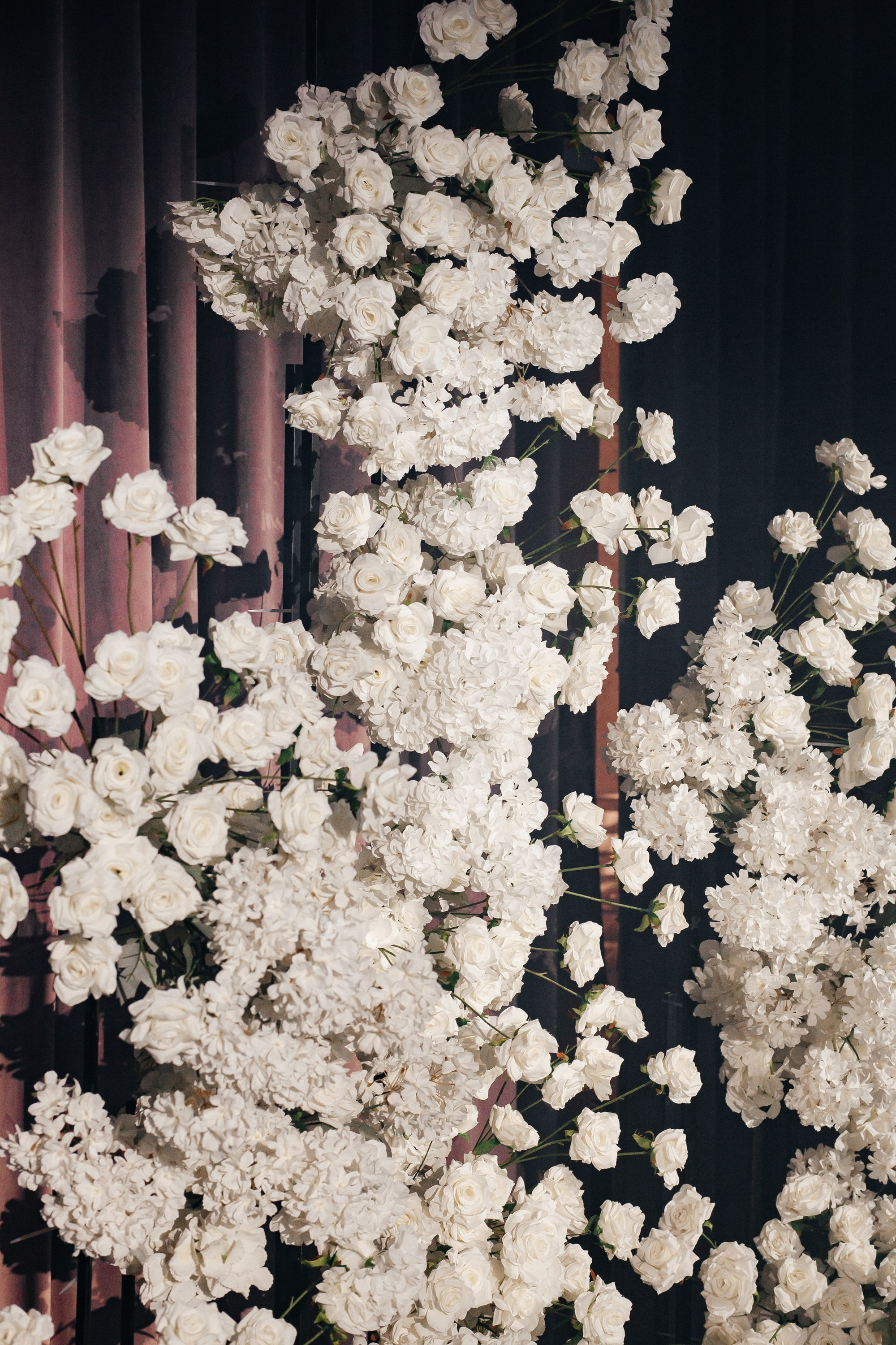 D&S. Фотограф Таганрог Хребет София