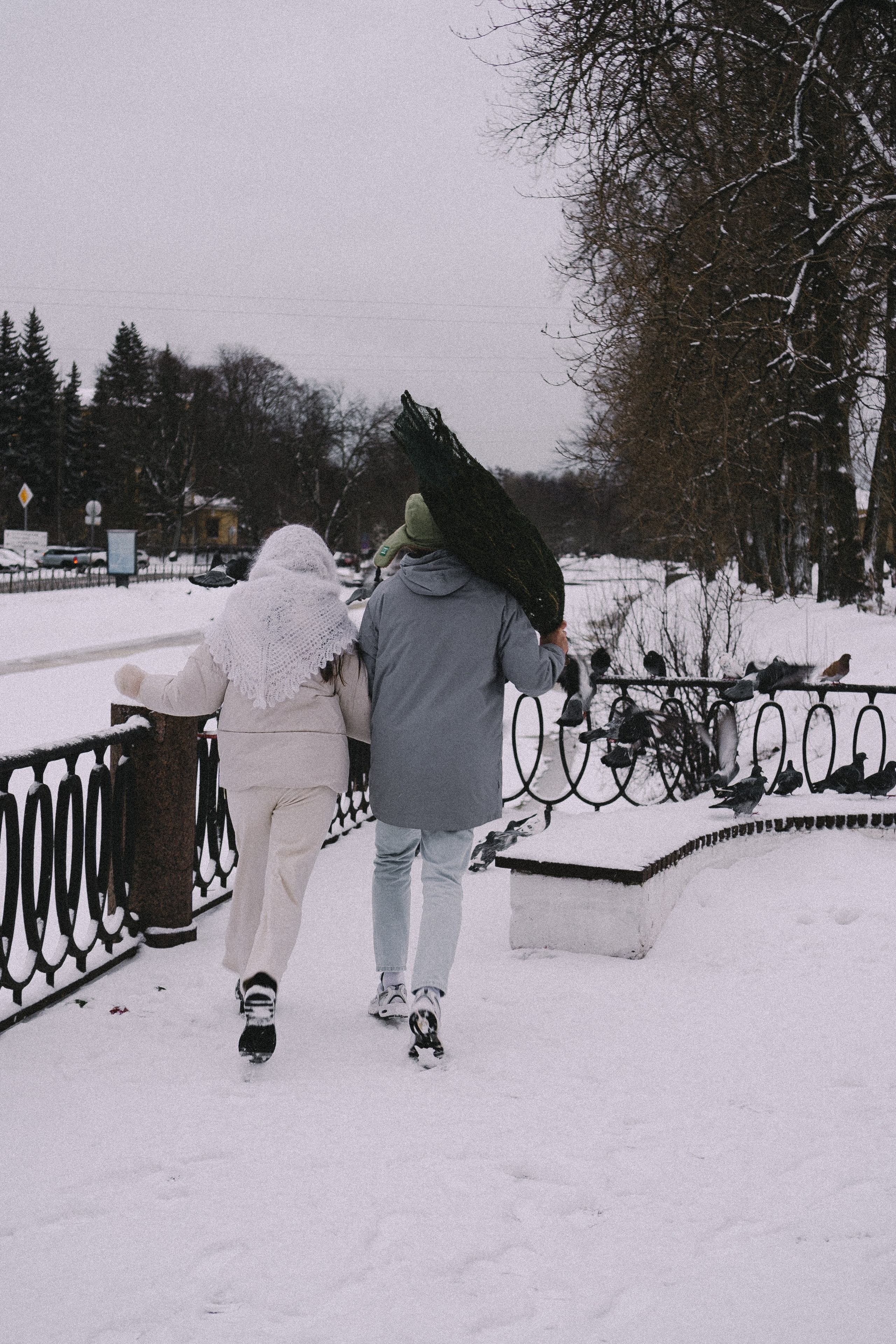 Зимняя история. Профессиональный фотограф, Санкт-Петербург — Виктория Богомолова