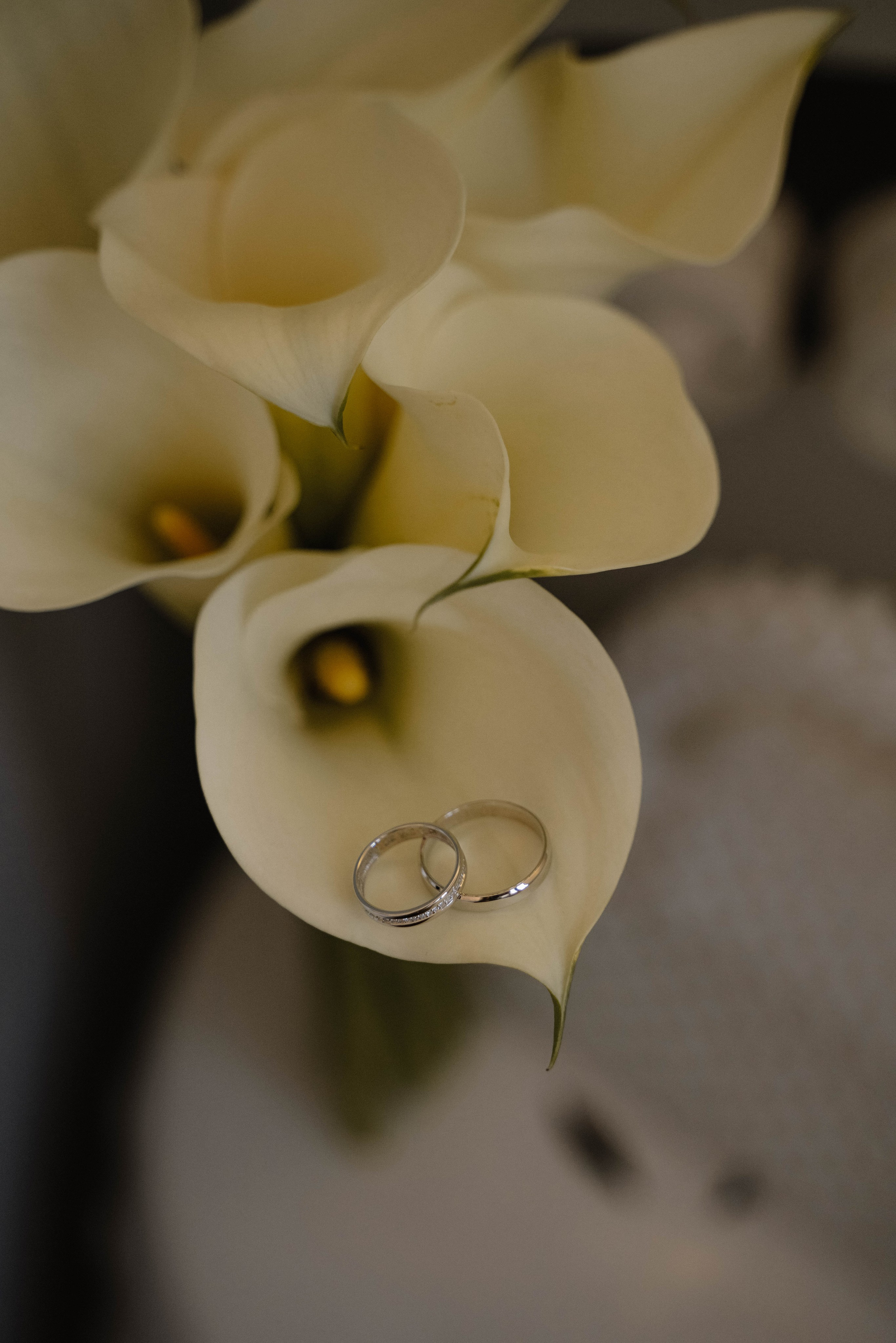 Свадебный фотограф в Краснодаре и Санкт-Петербурге Евгения Алексеева