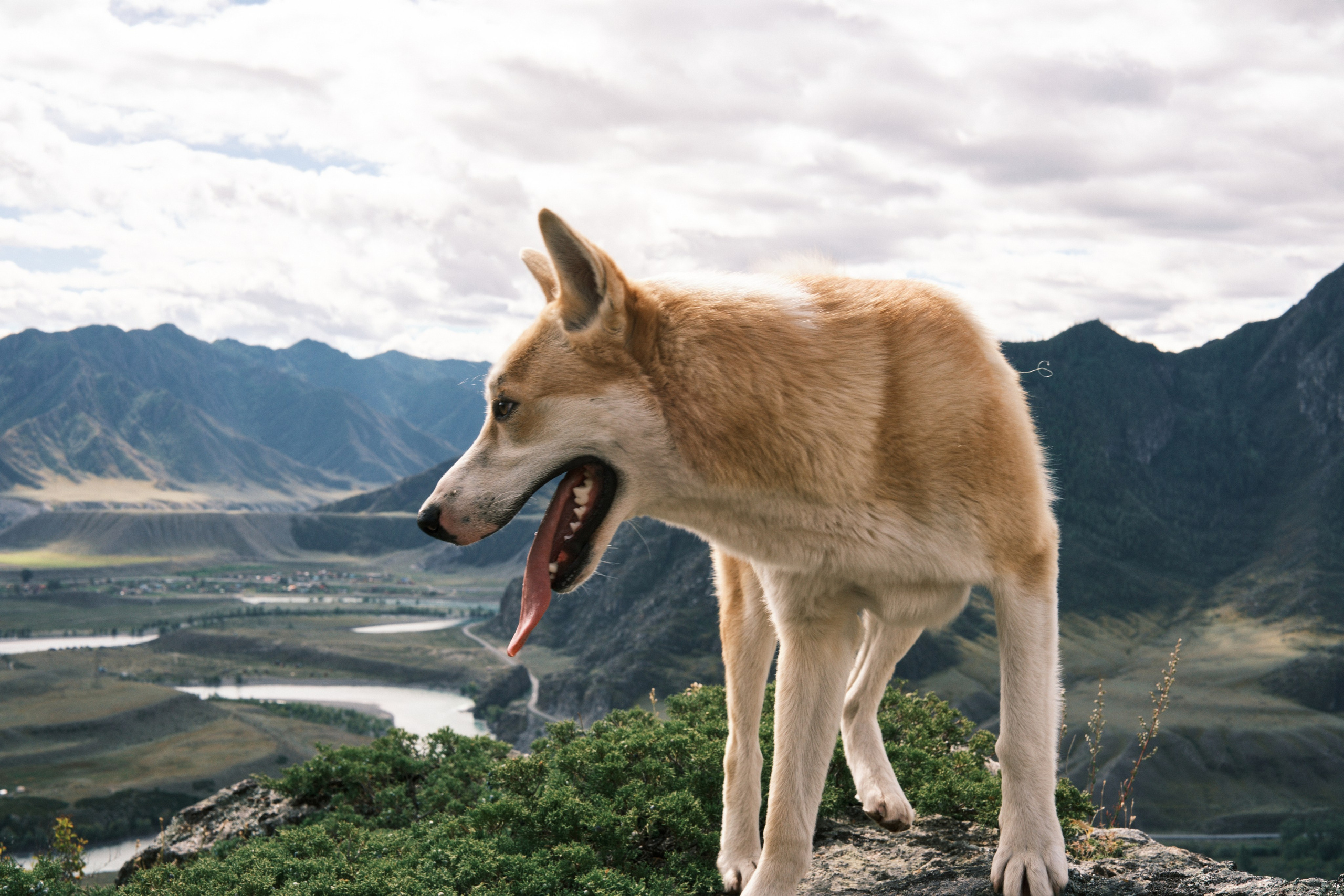 Природа. Антон Ив