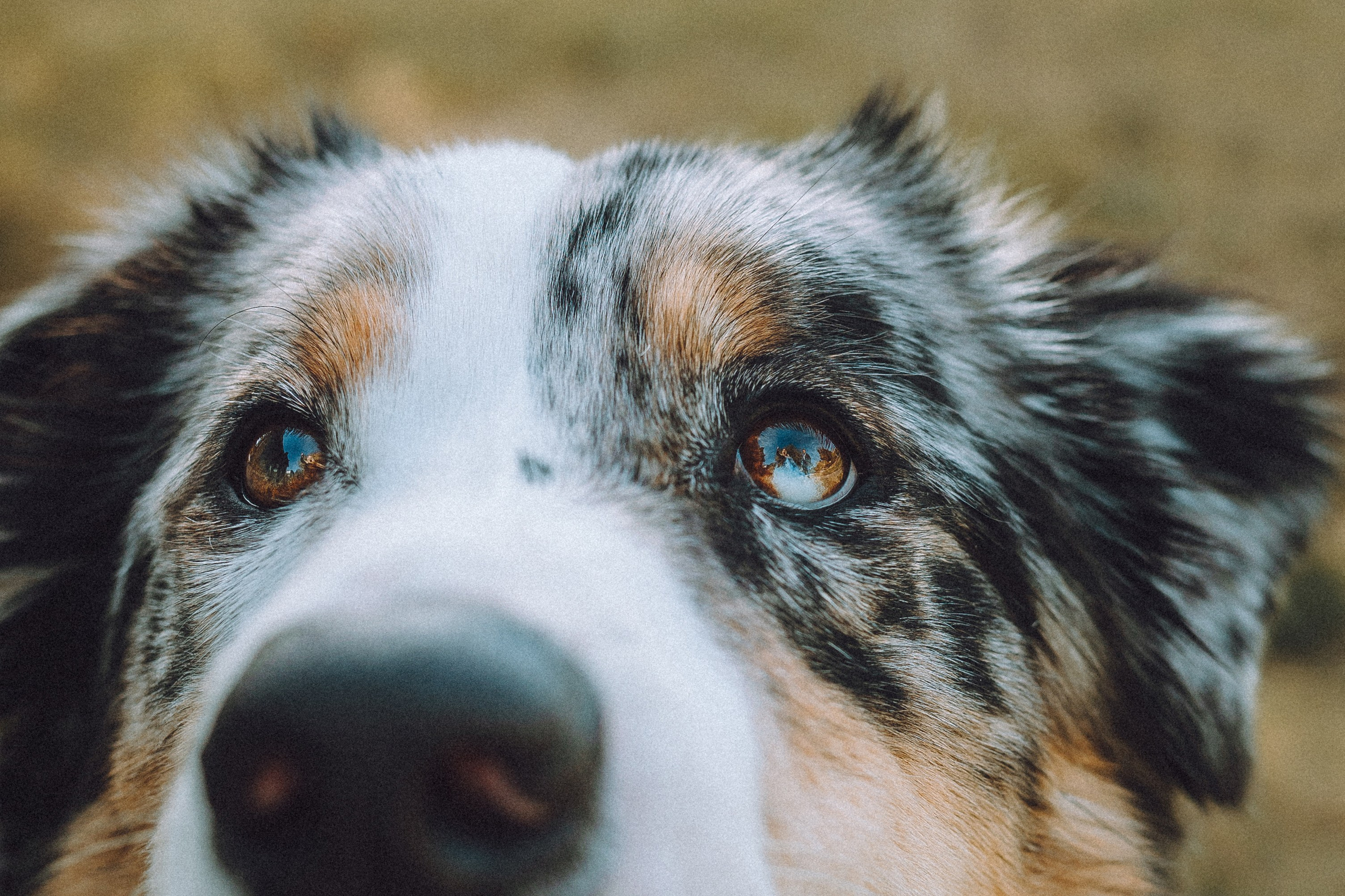 Саша, Рома и Один