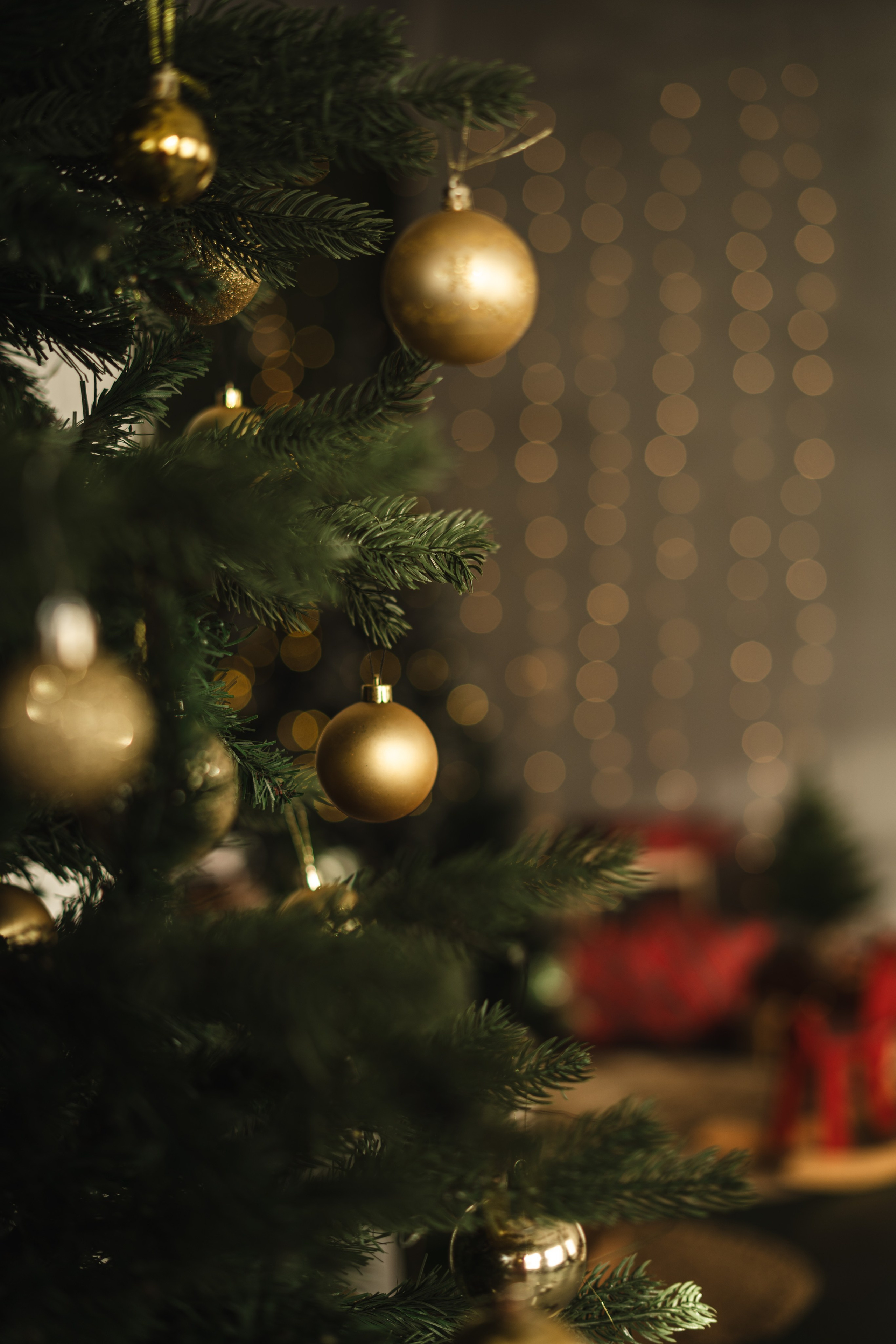 Фотостудия "Импульс" Саратов новогодняя фотосессия