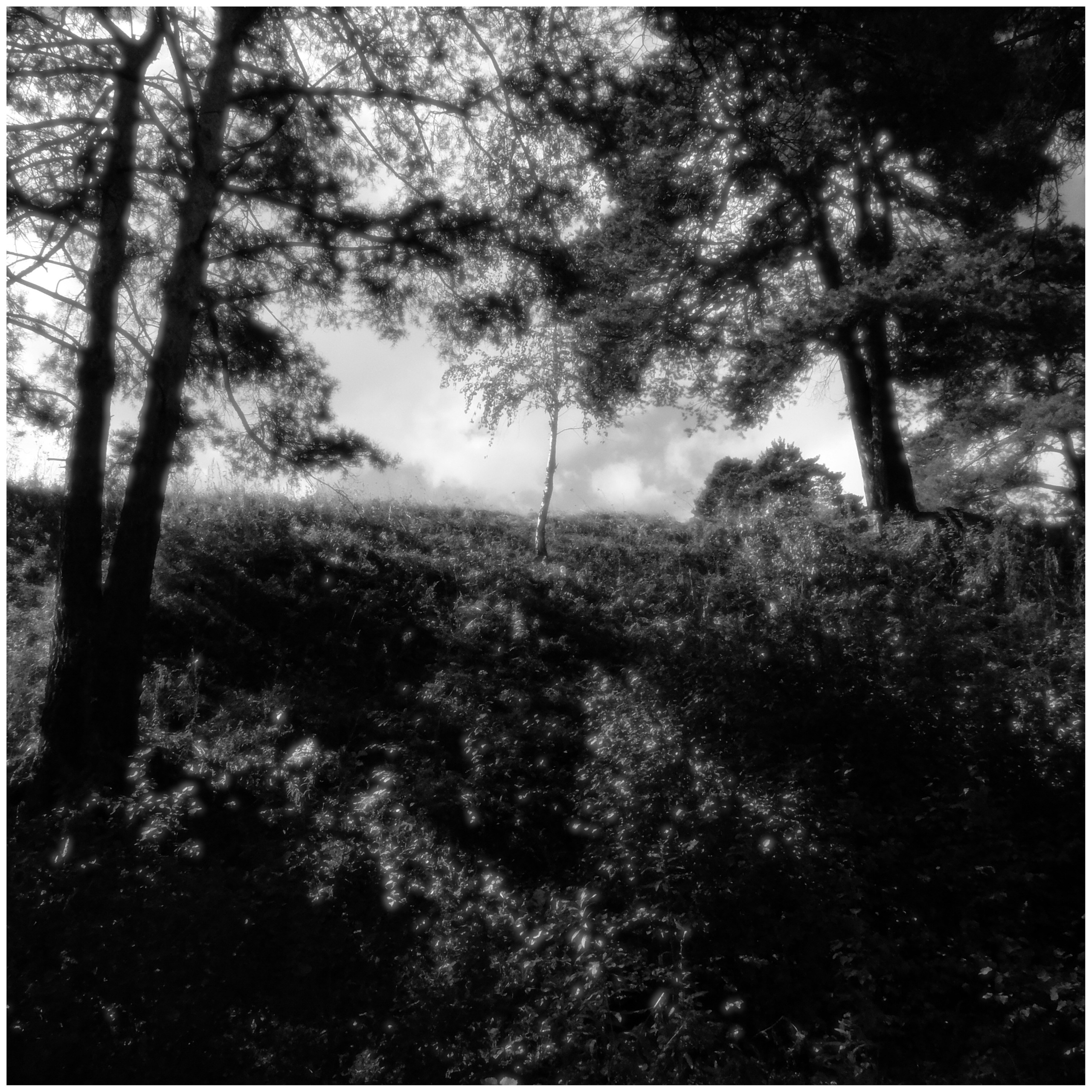 Внутривенные сны (2018-2023)