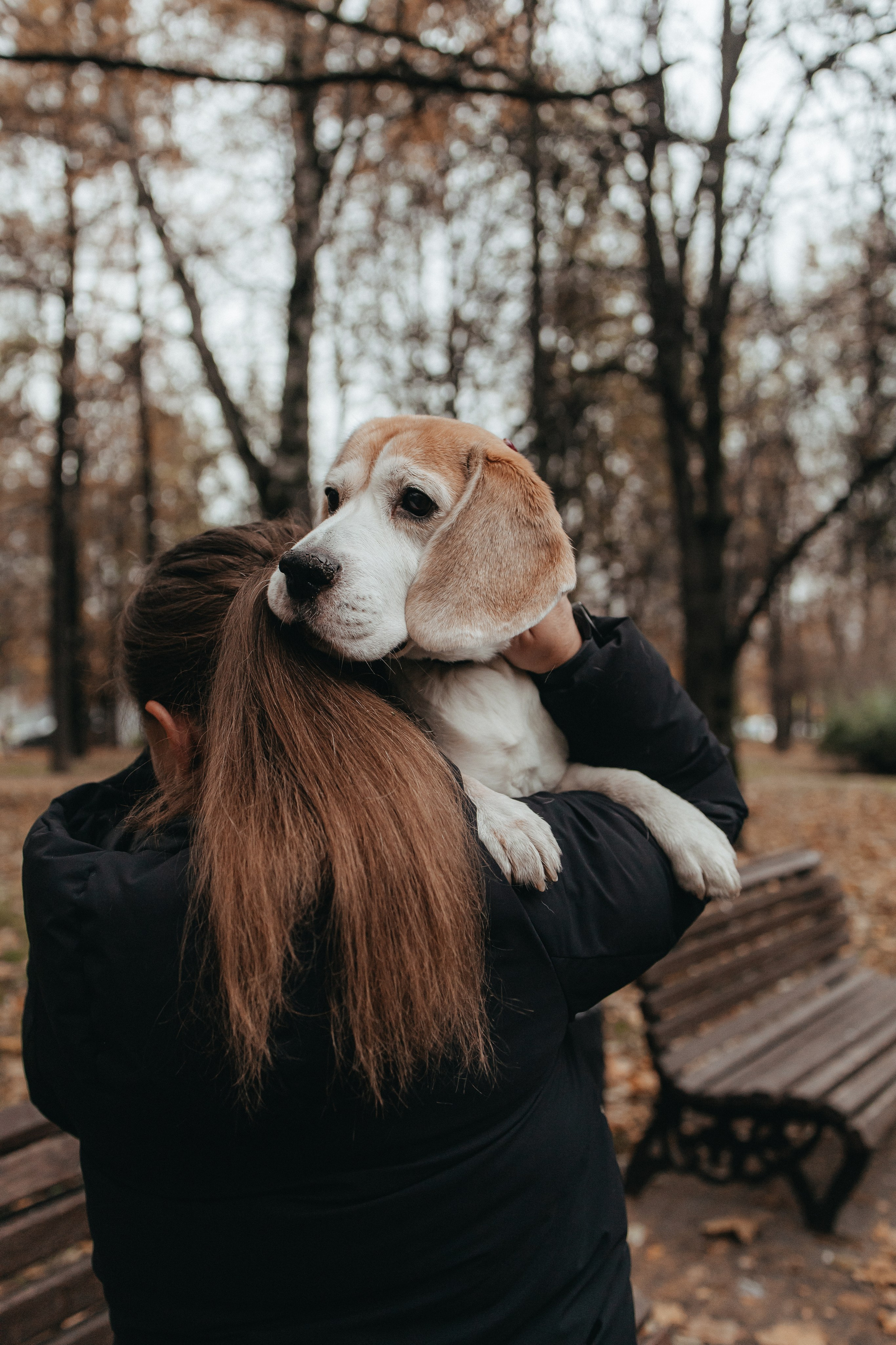Семейная фотосессия с собакой. Семейный фотограф в Москве, Щелково, Фрязино _ Виктория Степанова