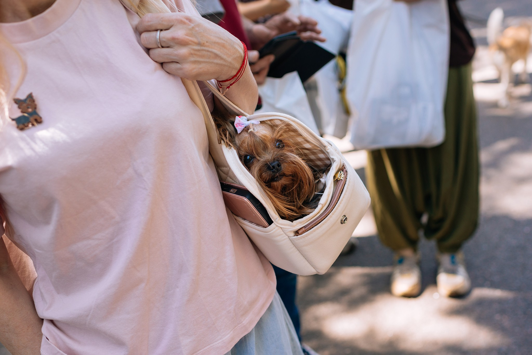 PETSHOP DAYS. Июнь 26. Репортажный фотограф в Санкт-Петербурге Анастасия Клёпова