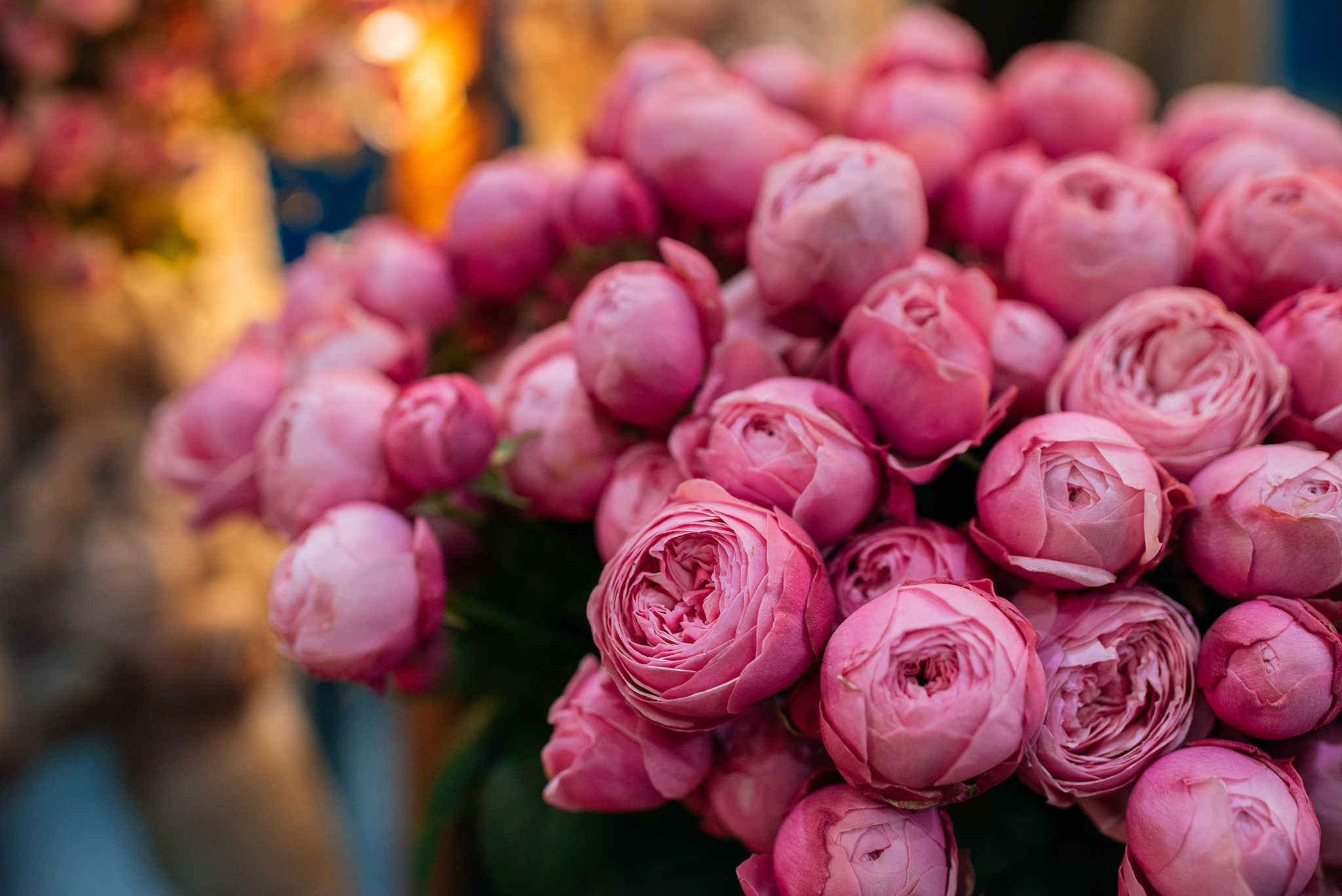 Florentika.boutique. Доставка цветов. Репортажный фотограф в Санкт-Петербурге Анастасия Клёпова