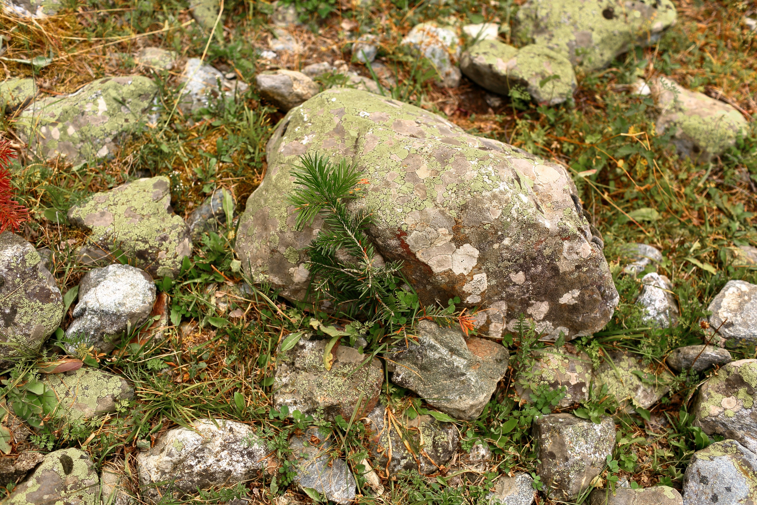 Кавказ. Свадебный и репортажный фотограф в Ярославле и Санкт-Петербурге Роман Микрюков