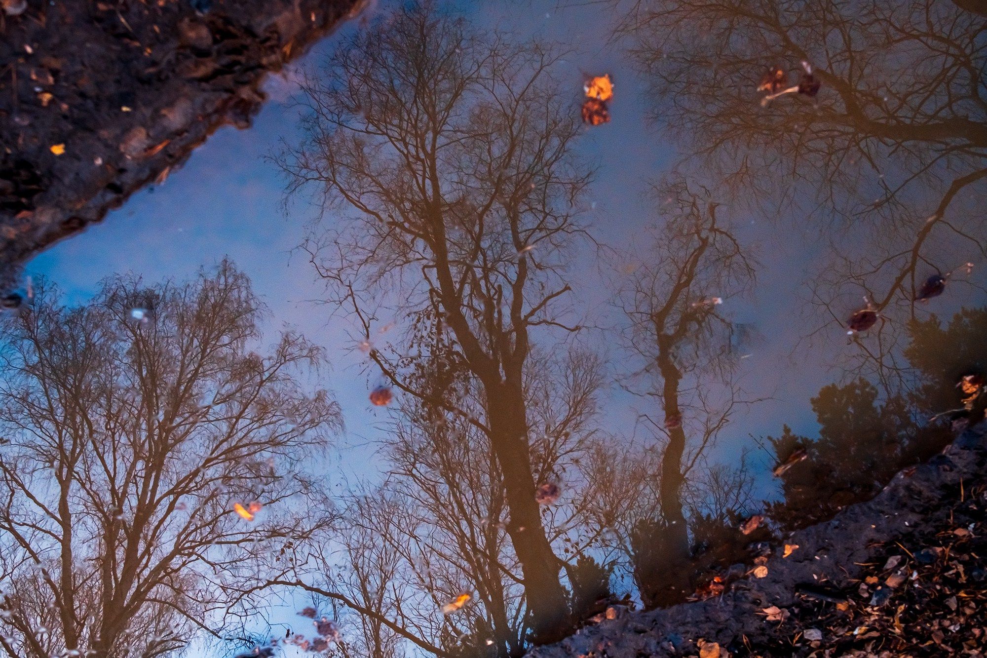 Природа. Фотограф в городе Каменск-Уральский — Метелёв Андрей