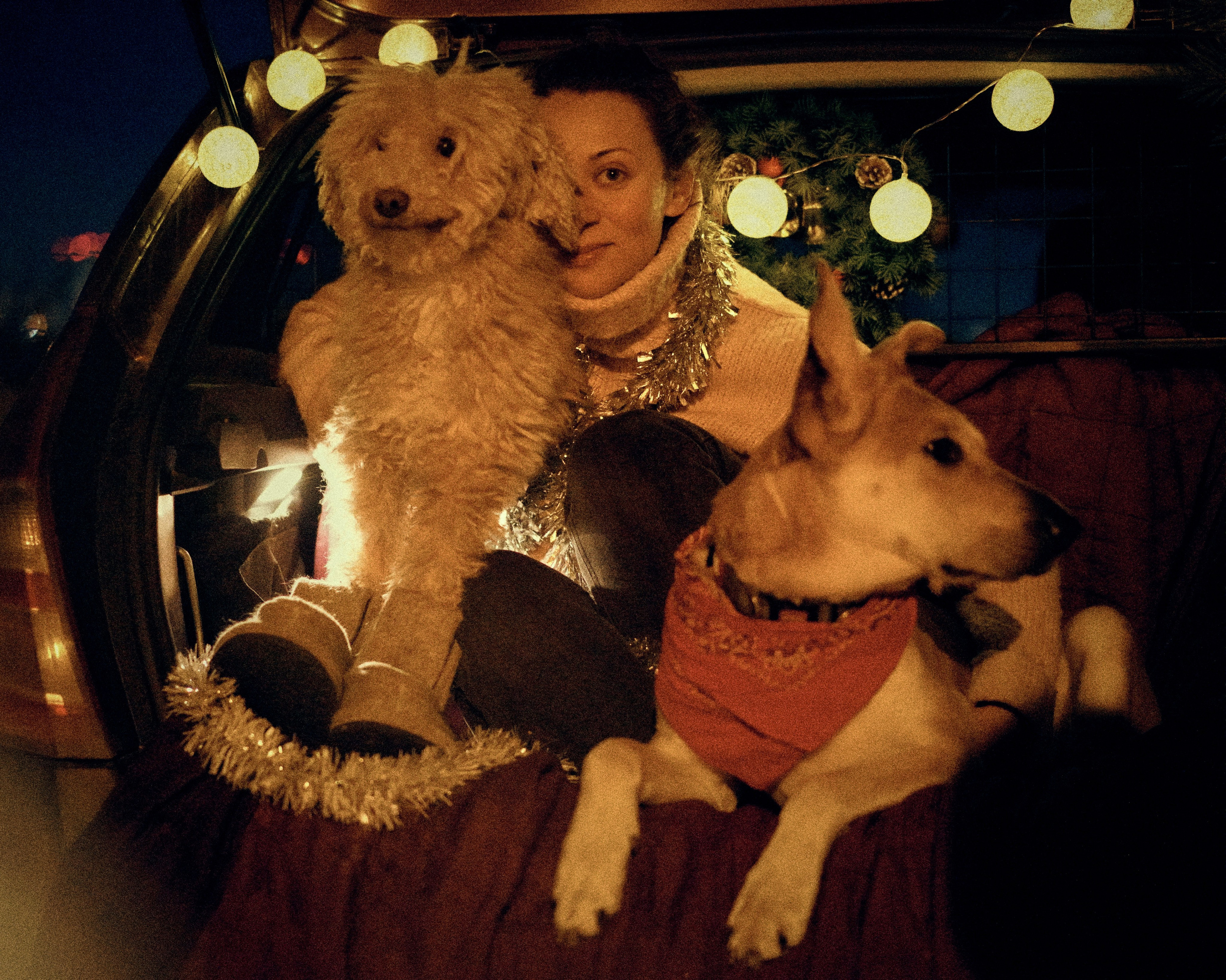 «Под светом уличного фонаря». Фотограф Казань