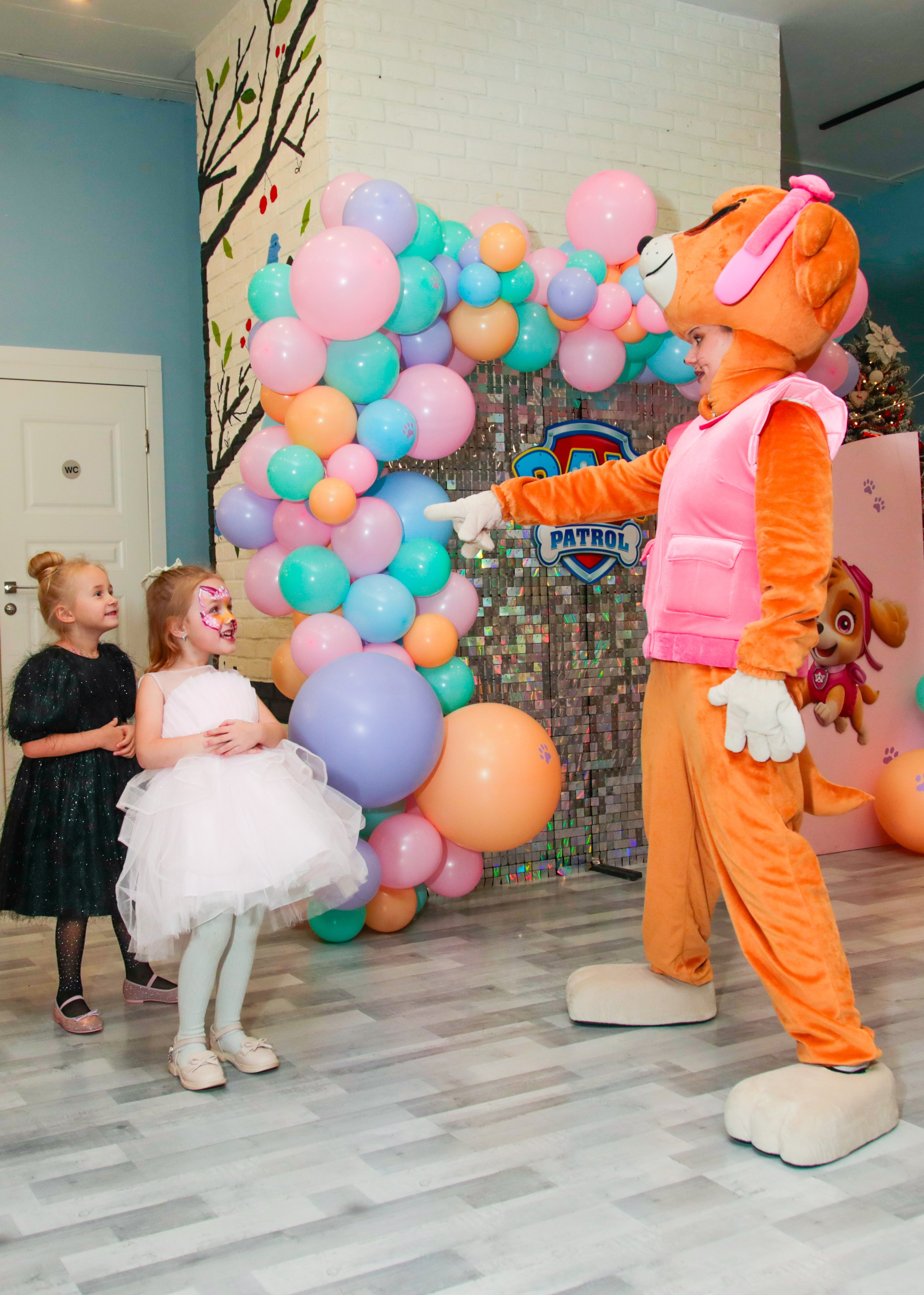 День Рождения Щенячий патруль. Фотограф Олеся Милош Мытищи, Москва и МО и весь мир