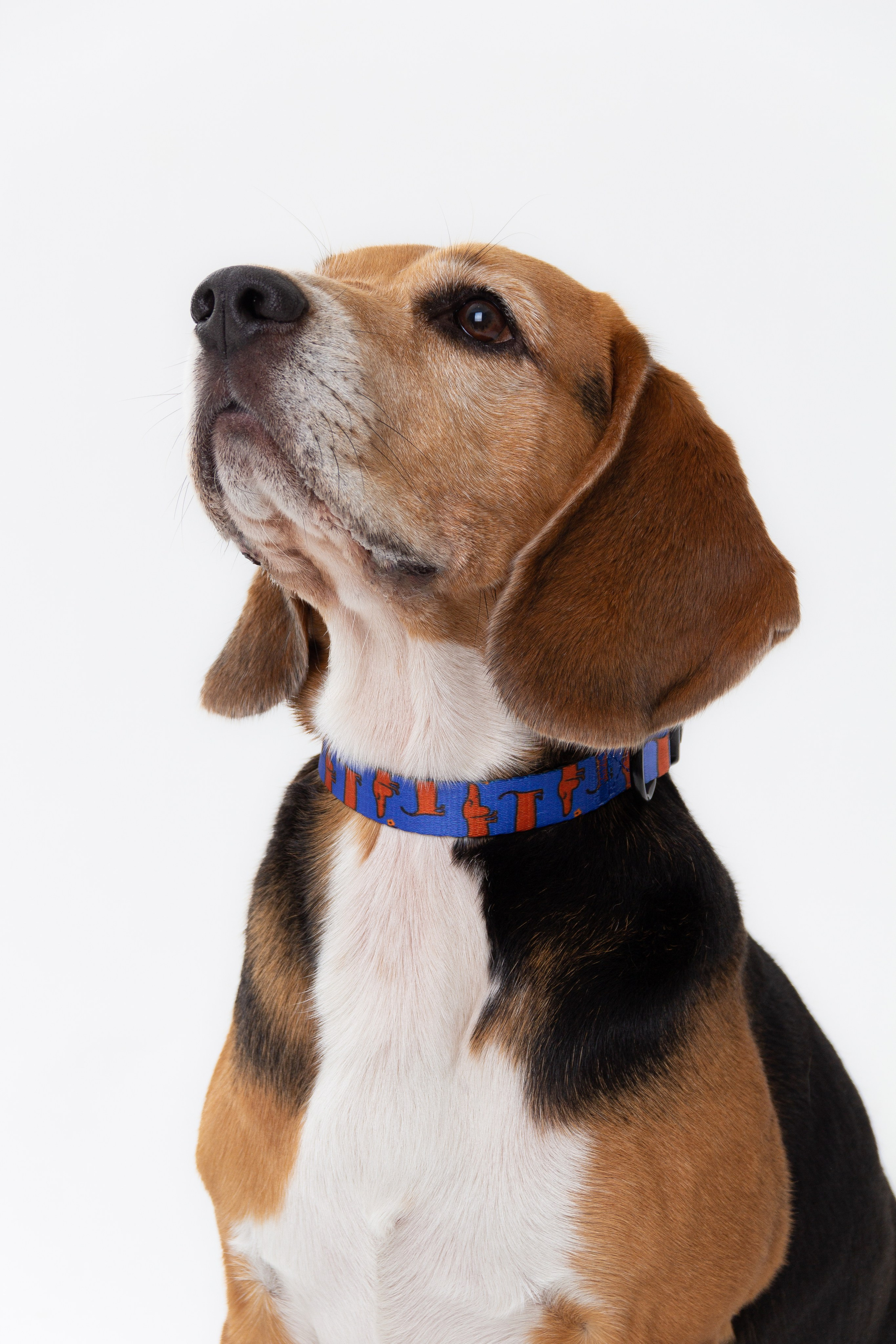 Предметная съемка. Коммерческий фотограф Даша Потоцкая