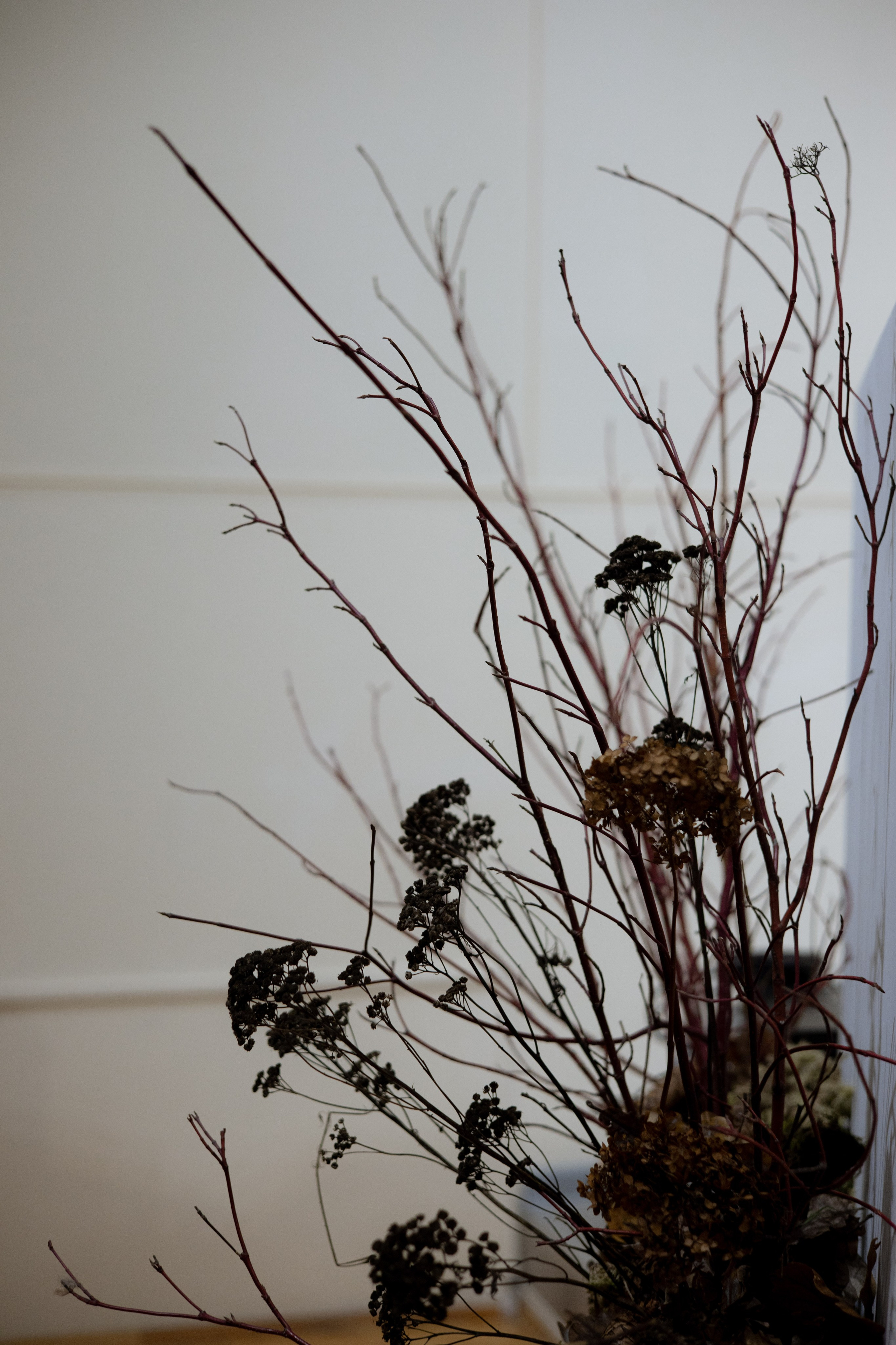 Оформление IX Международного конкурса пианистов имени Д. Д. Шостаковича. Оформление свадеб, декор свадеб Вера Маркова, Москва