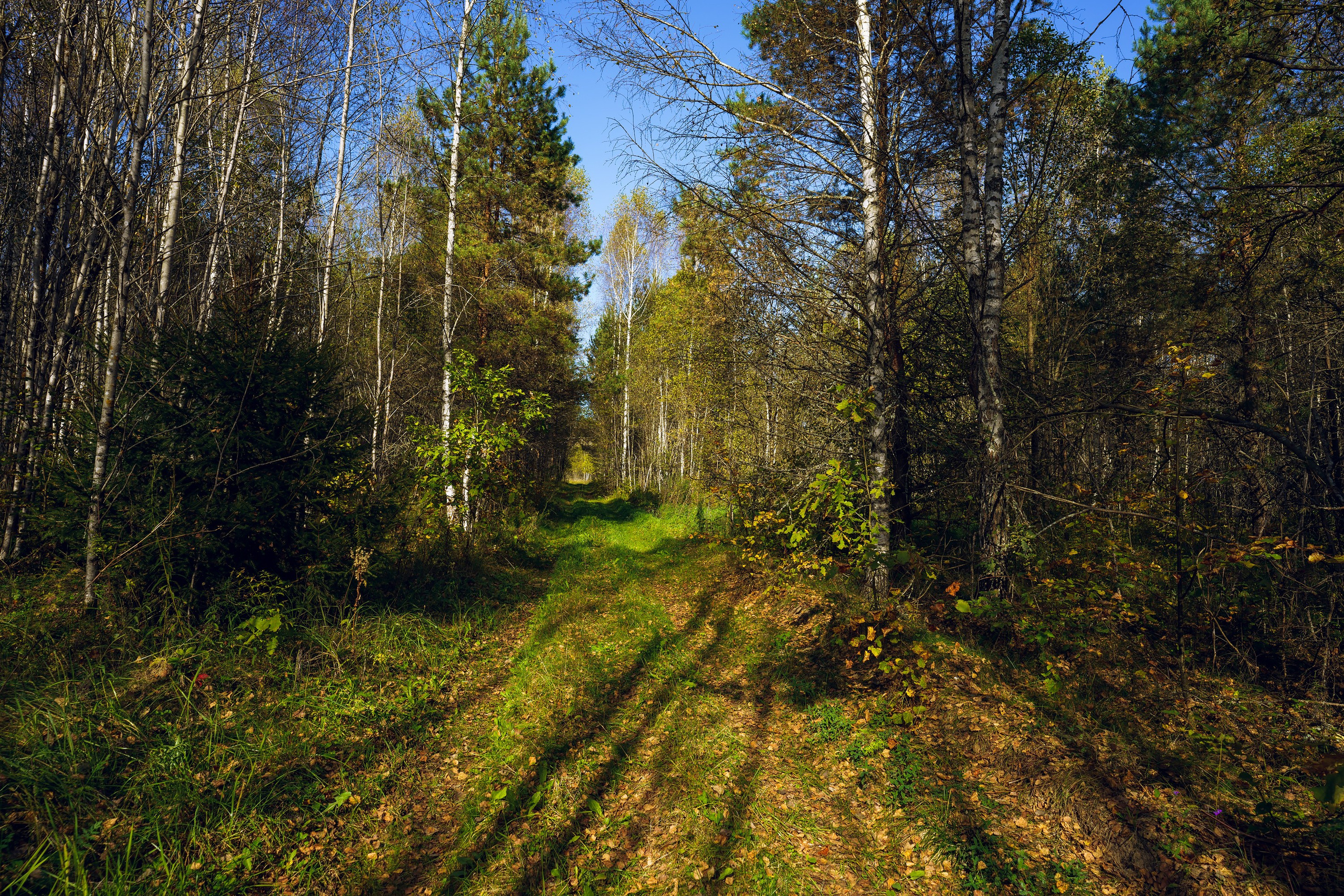 Фотографии Большая Калужская Тропа. Фотограф спортивные события, недвижимость, турбизнес