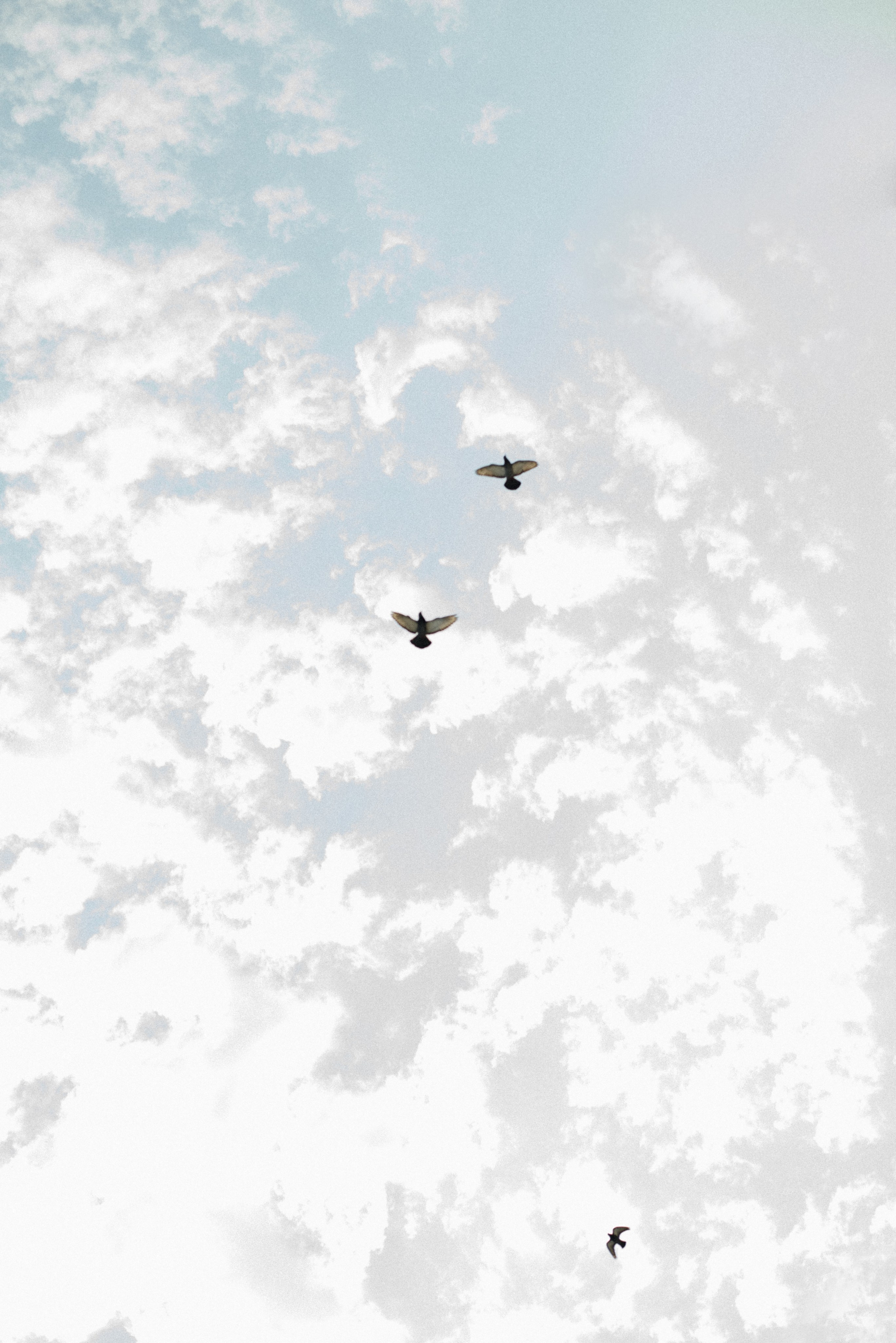 Просто о красивой любви. Свадебный и семейный фотограф в Йошкар-Оле, Питере и Казани Александра Богинич