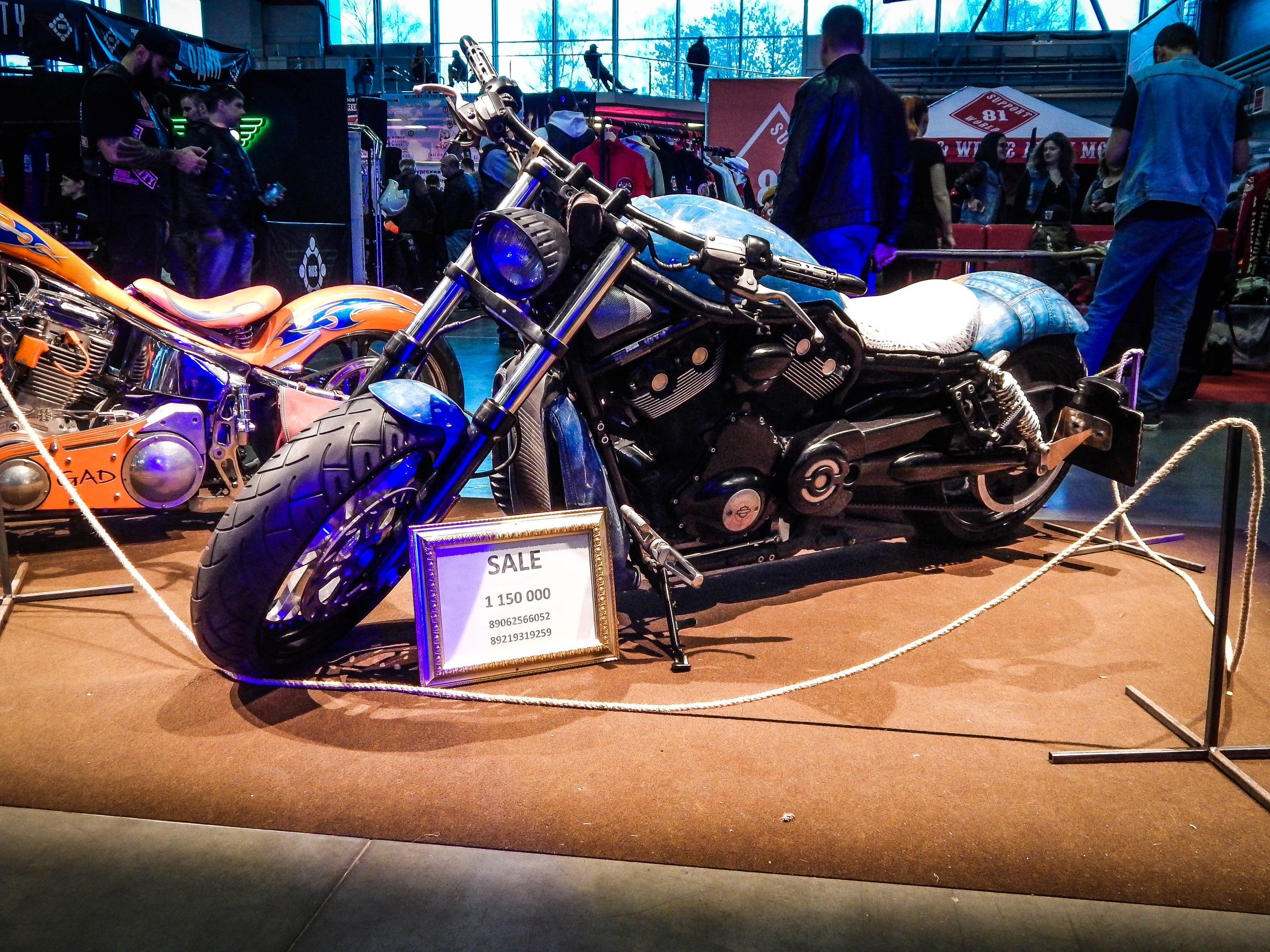 IMIS 2019. Александр Попов