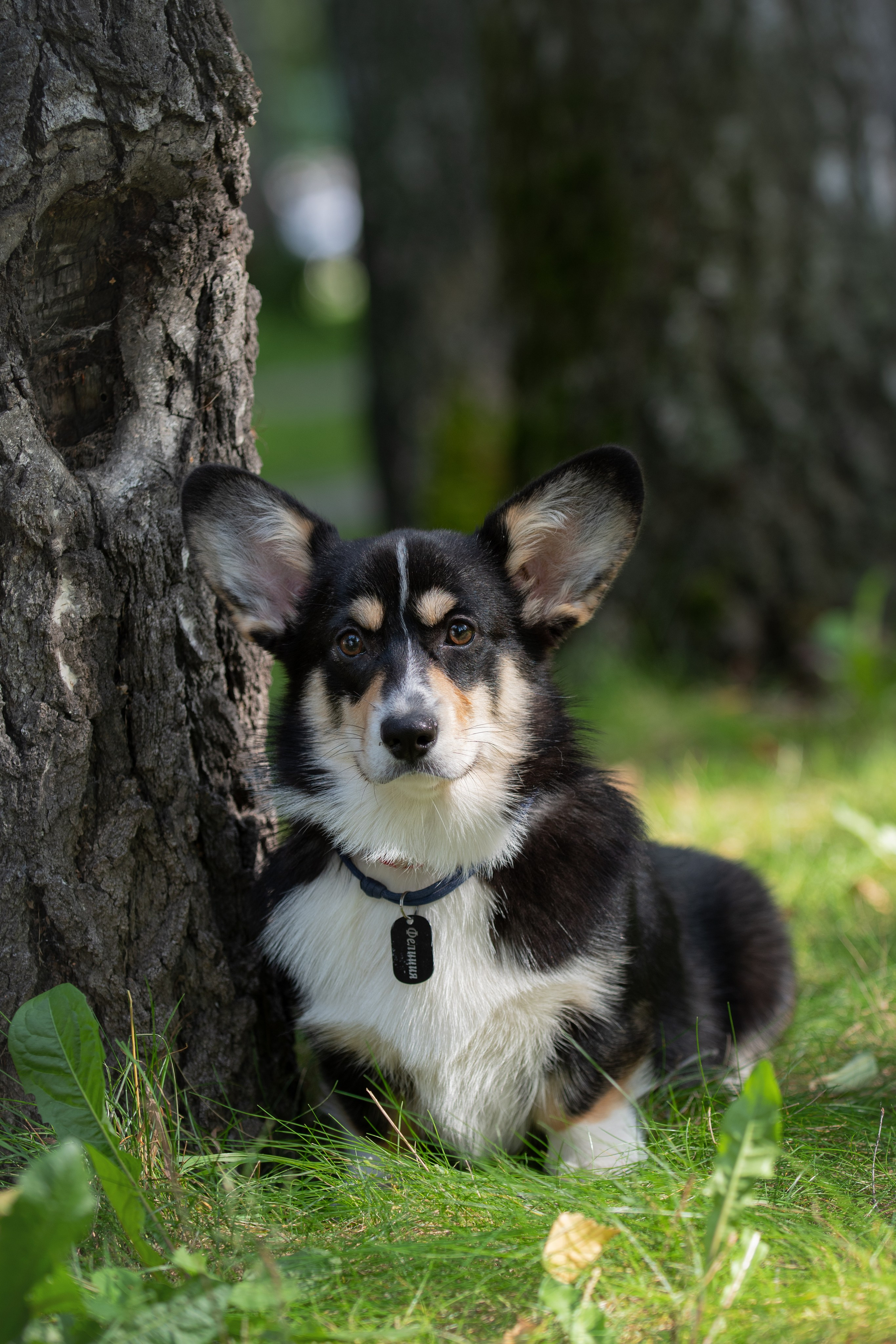 Анастасия Носкова | Фотограф
