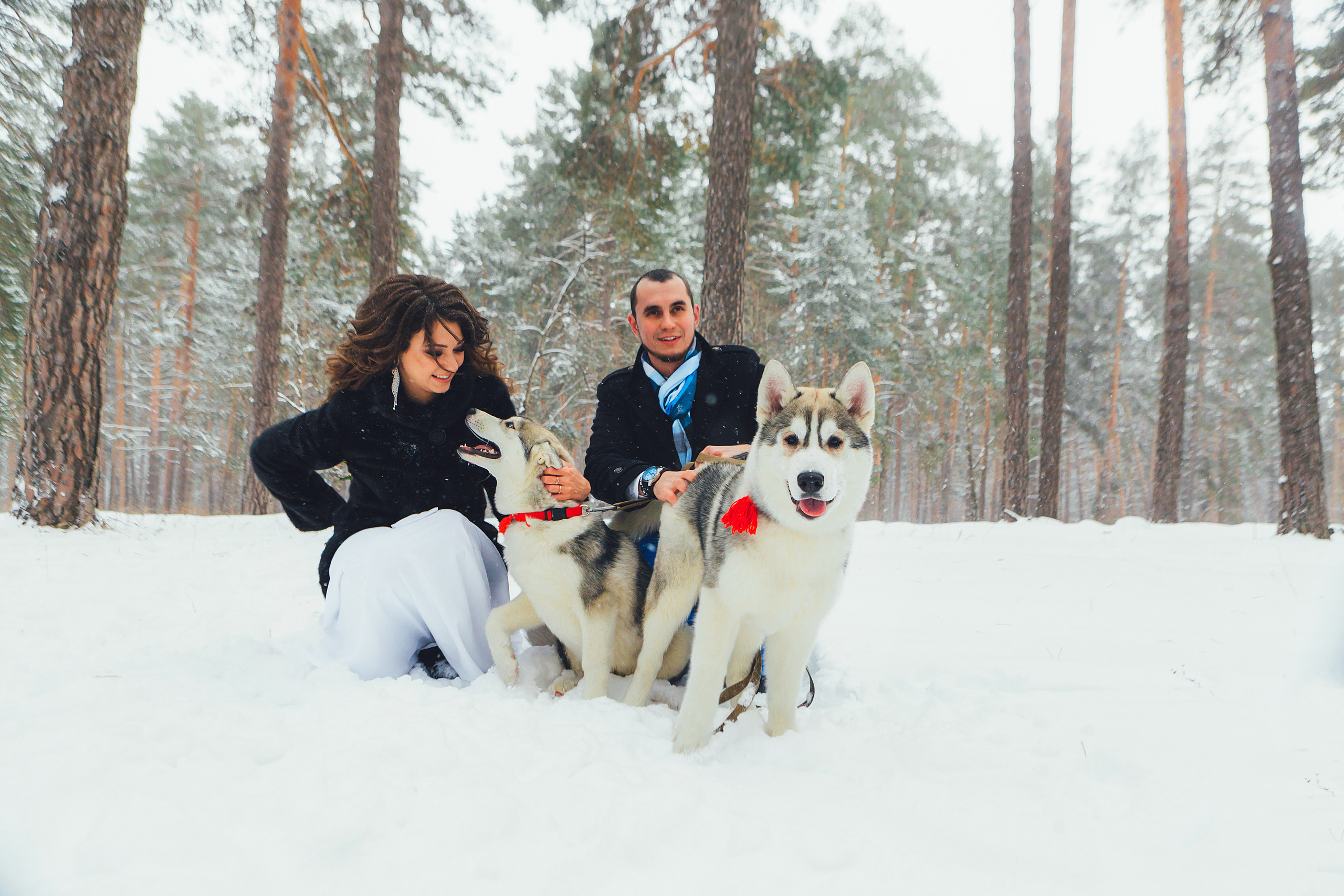 Иван и Виктория. Маргарита Рубцова свадебный фотограф Тольятти