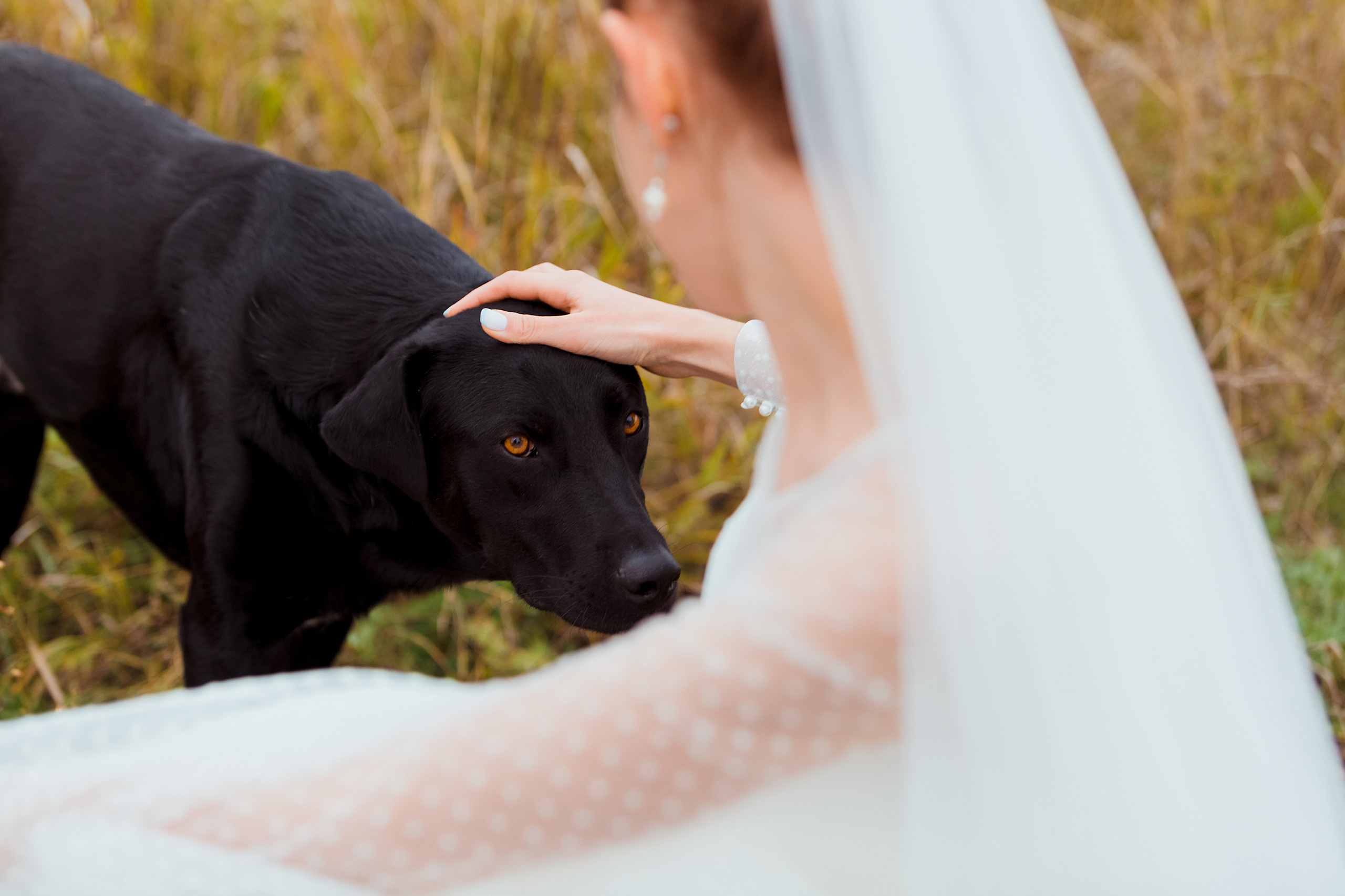 Кирилл и Нина. Маргарита Рубцова свадебный фотограф Тольятти