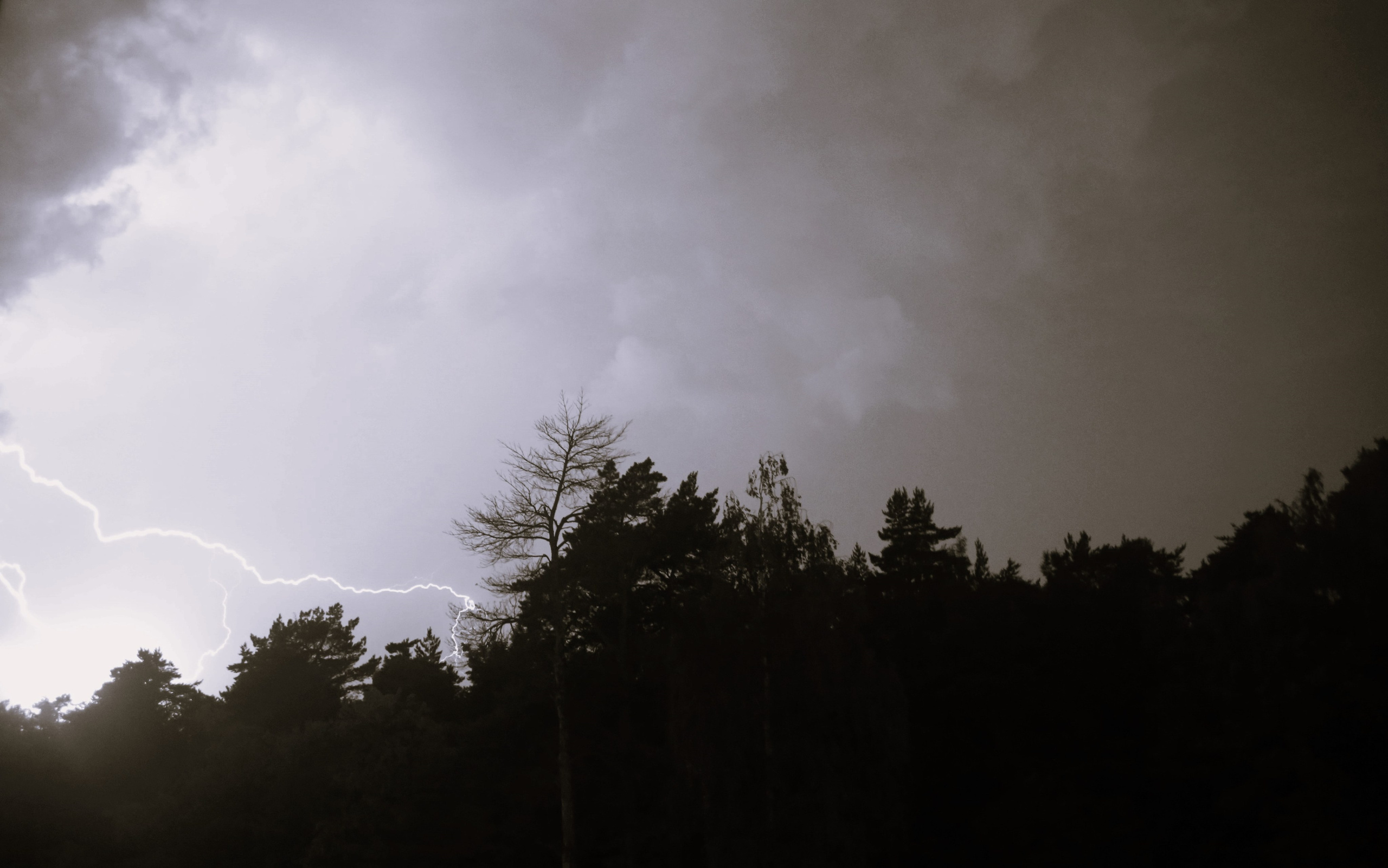 Всё, что я вижу вокруг себя