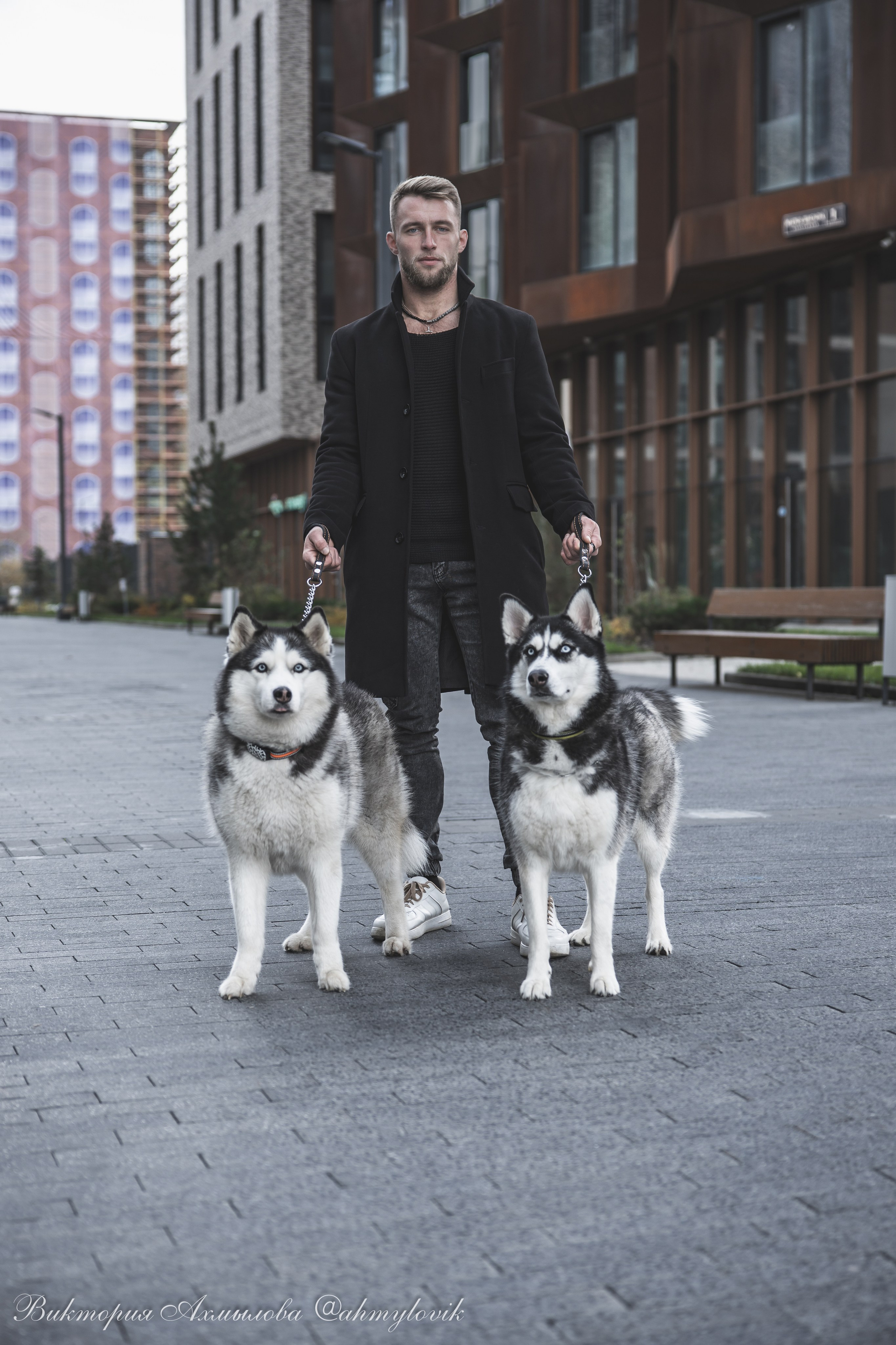 Прогулка с Хаски (Сергей). Виктория Ахмылова. Фотограф в Москве