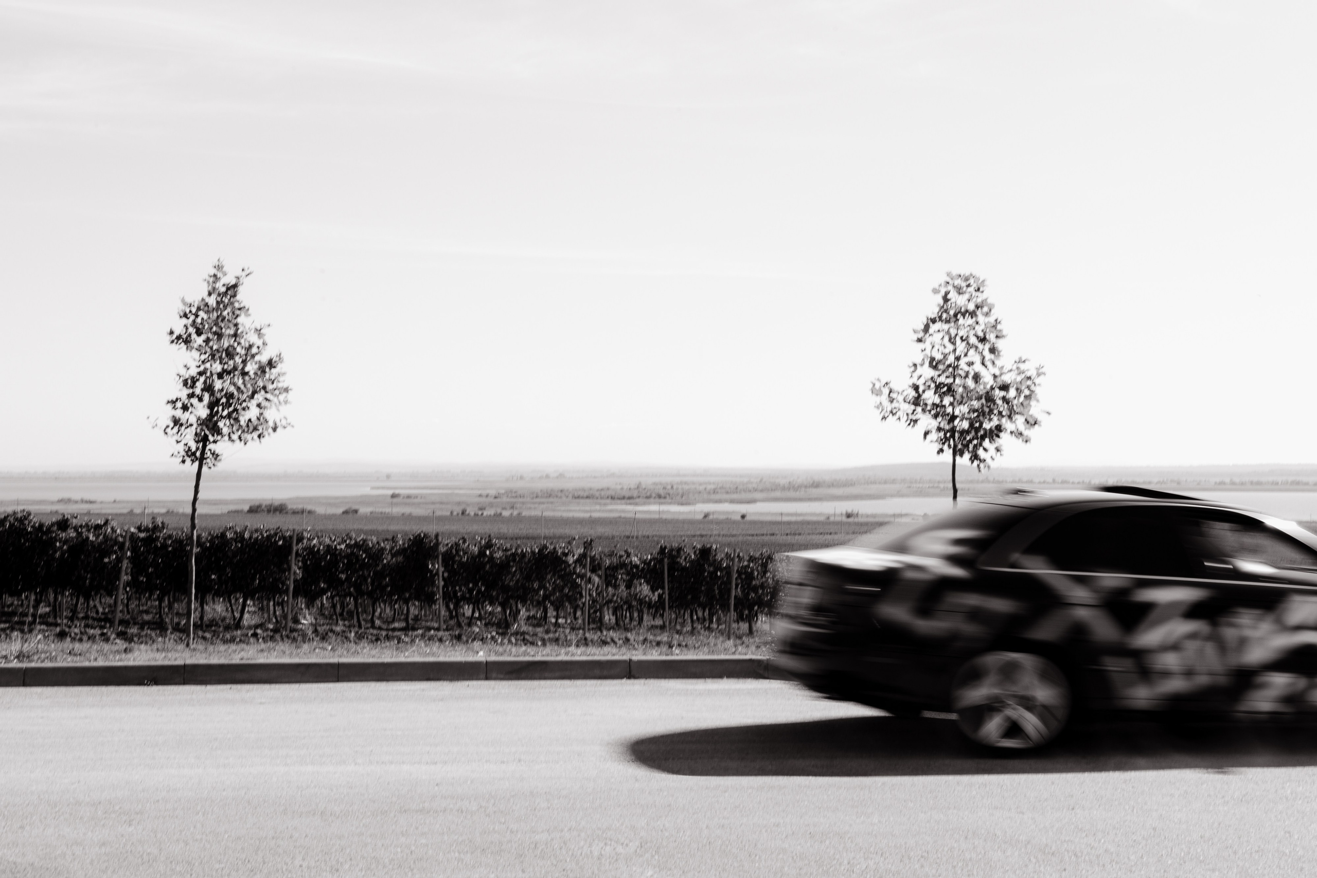 Отвратительная свадьба. Fusion Wedding Photographer