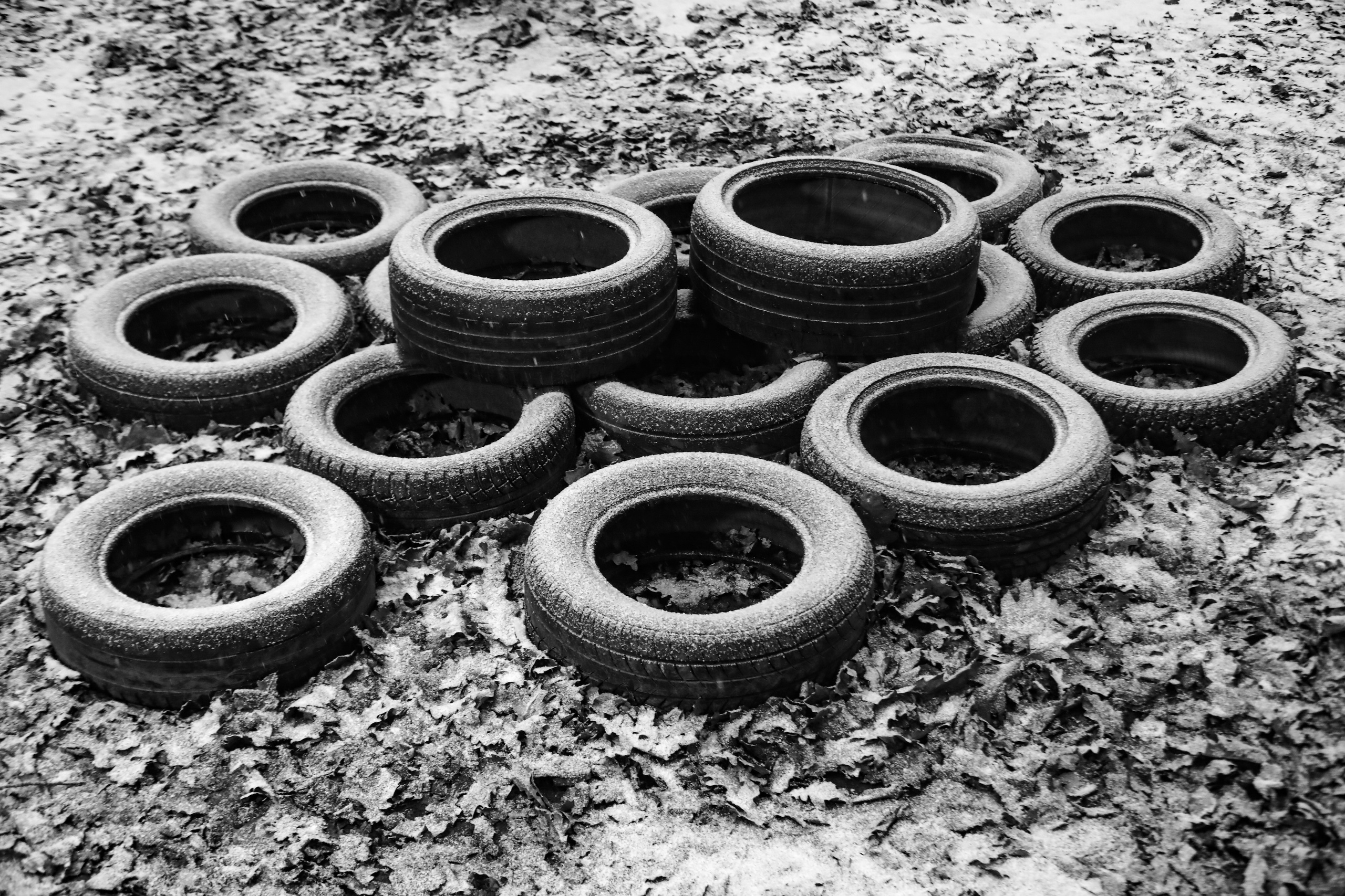 Качалка в лесу — 2022. Стас Привалов