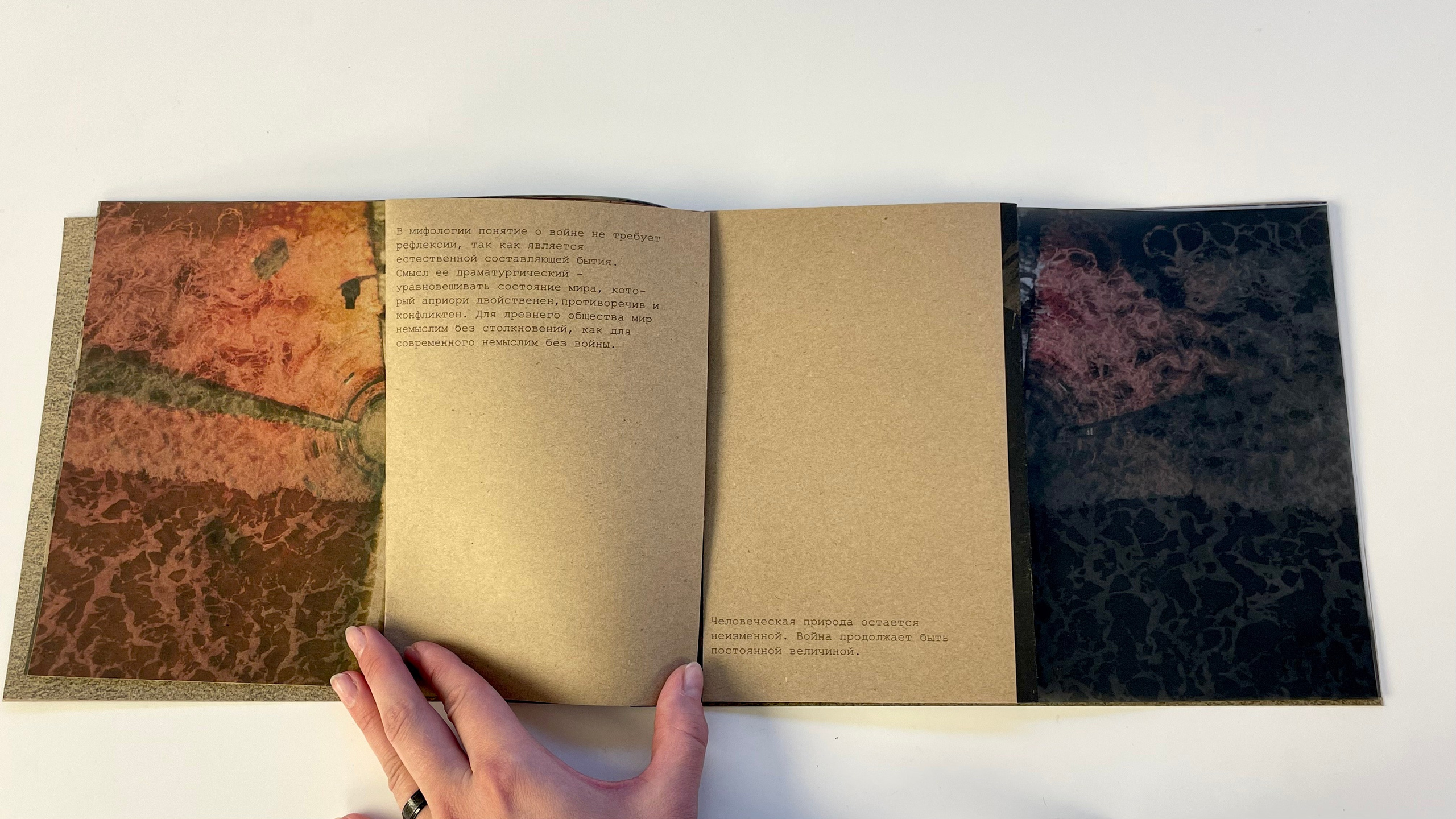 Холодный пляж. Катерина Эделева