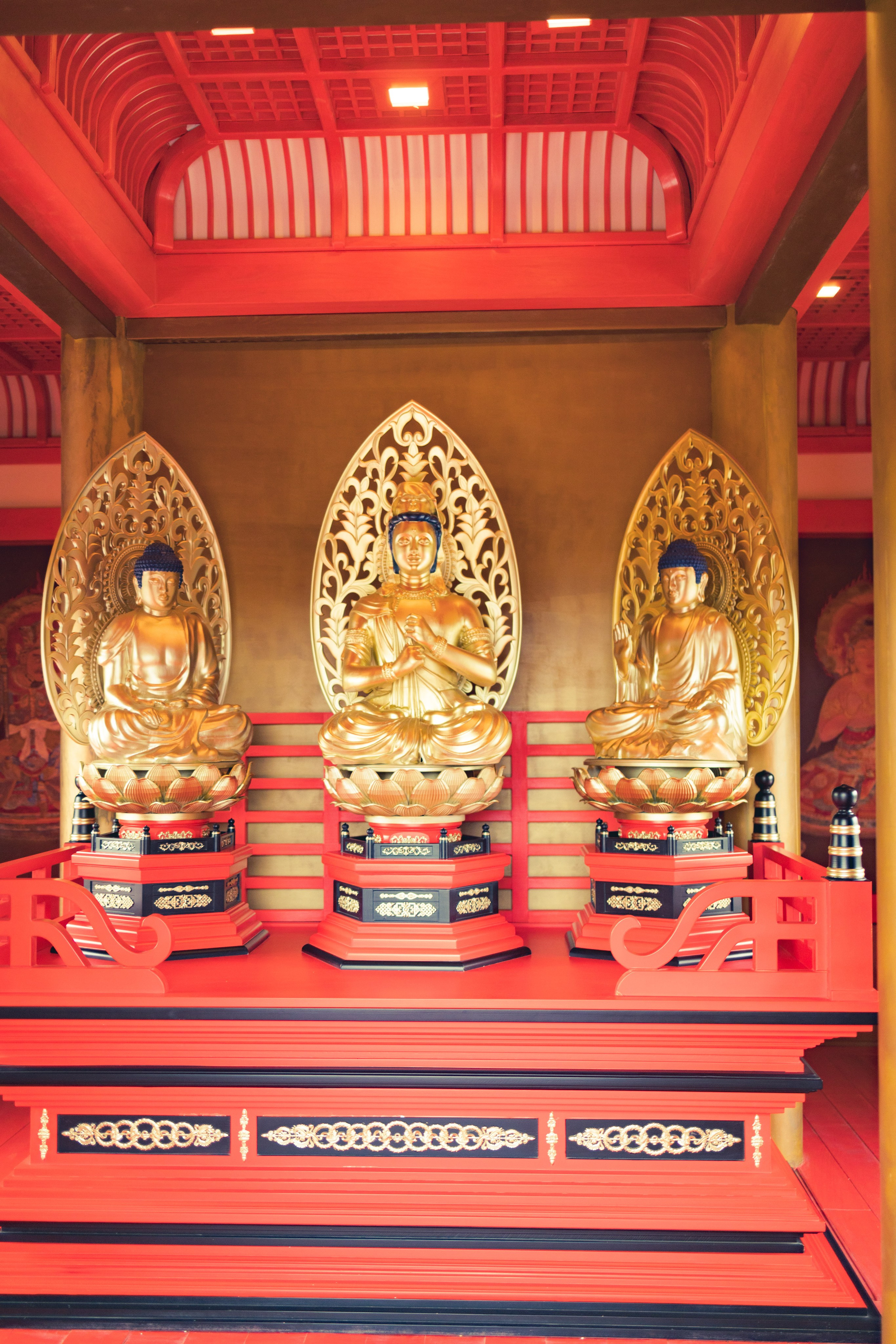 Японский сад в Краснодаре. Профессиональный фотограф и видеооператор