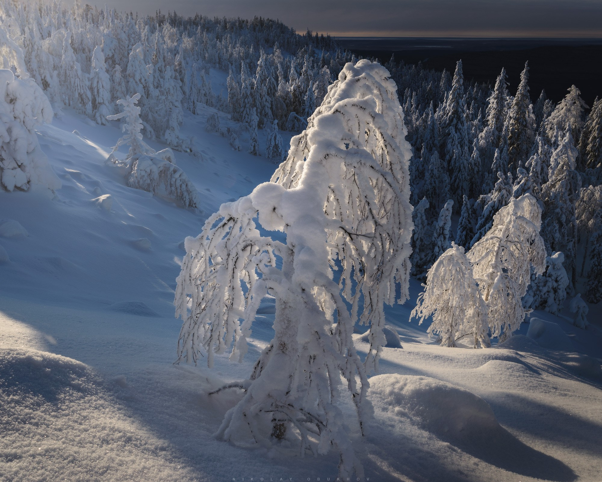 Зимний лес на Среднем Урале. Заснеженные деревья и ели, склоны гор в глубоких сугробах. Спокойный зимний пейзаж с ясным небом и мягким снегом.