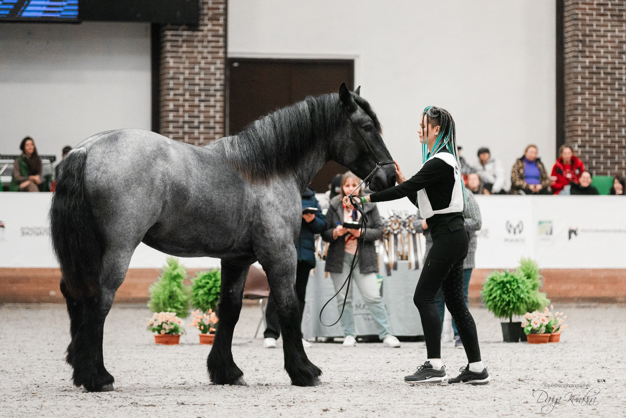 8-я международная выставка Конная Россия. Конный фотограф Куракина Дарья • Фотосессии с лошадьми