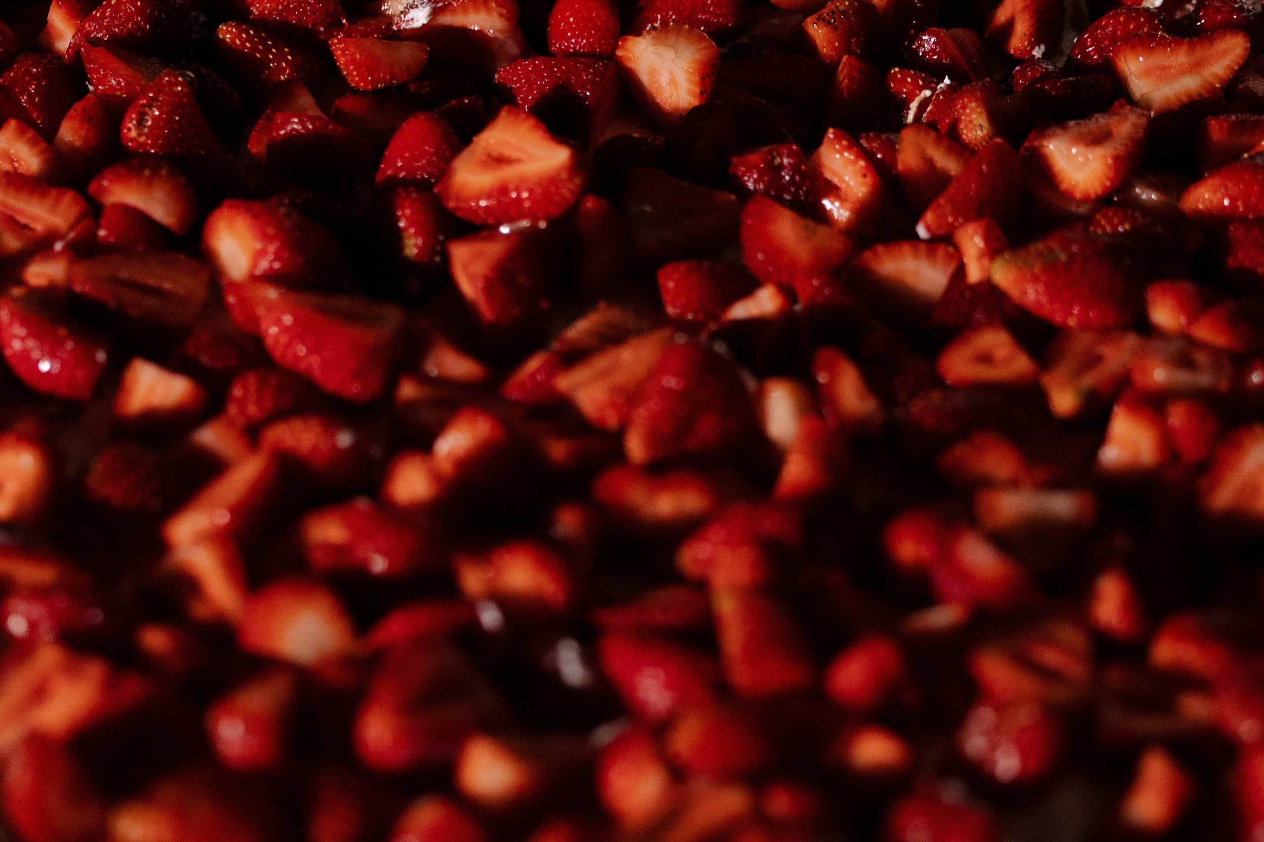 Владимир и Анастасия. Фотограф Андреева Алёна