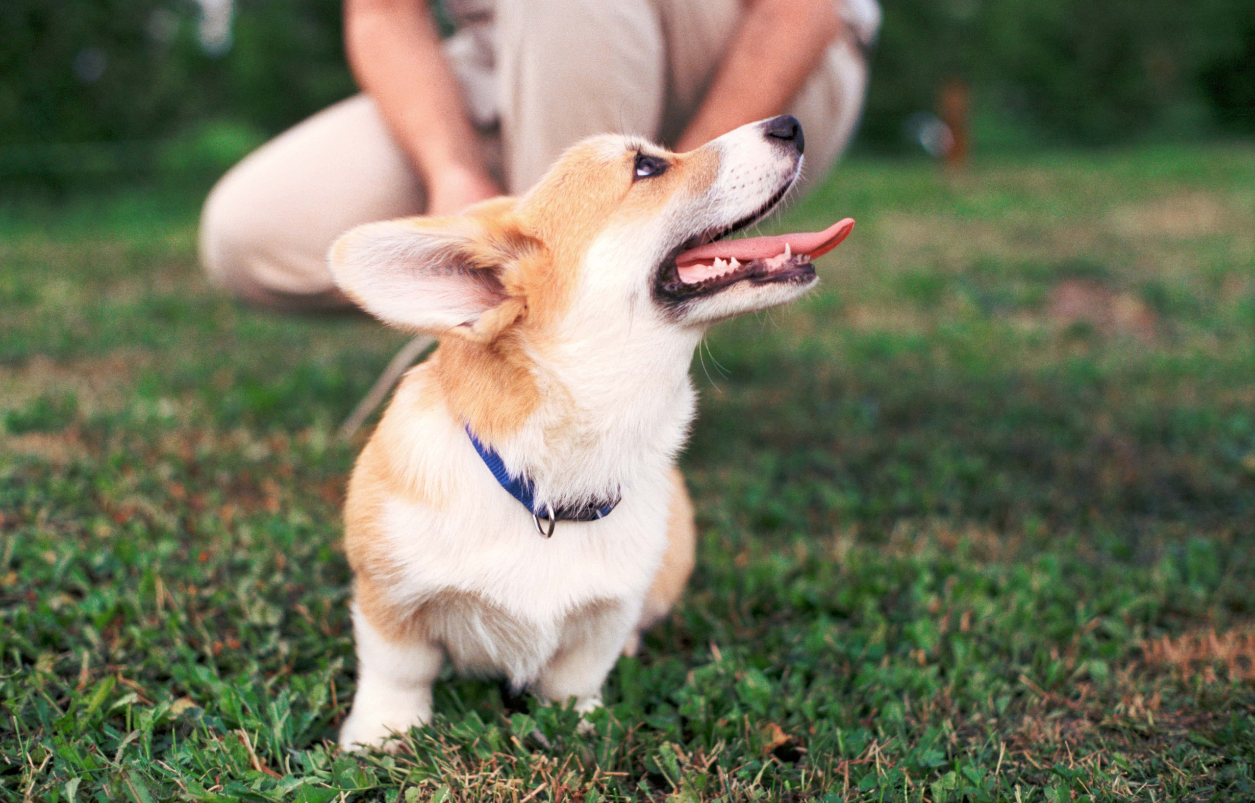 E&V&G. Stylist and film photographer Anastasia Shlokova