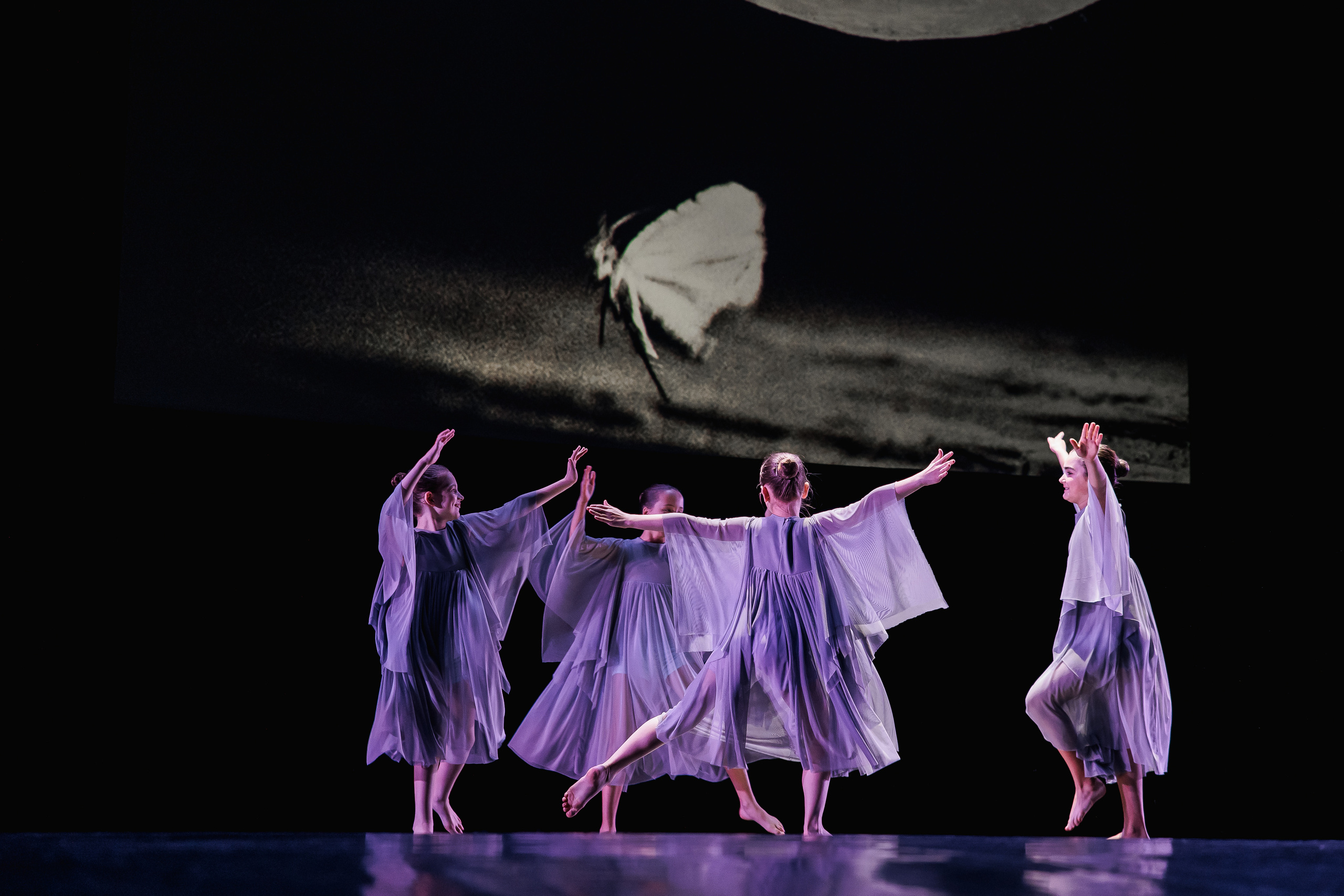 Зодиак — 20 лет