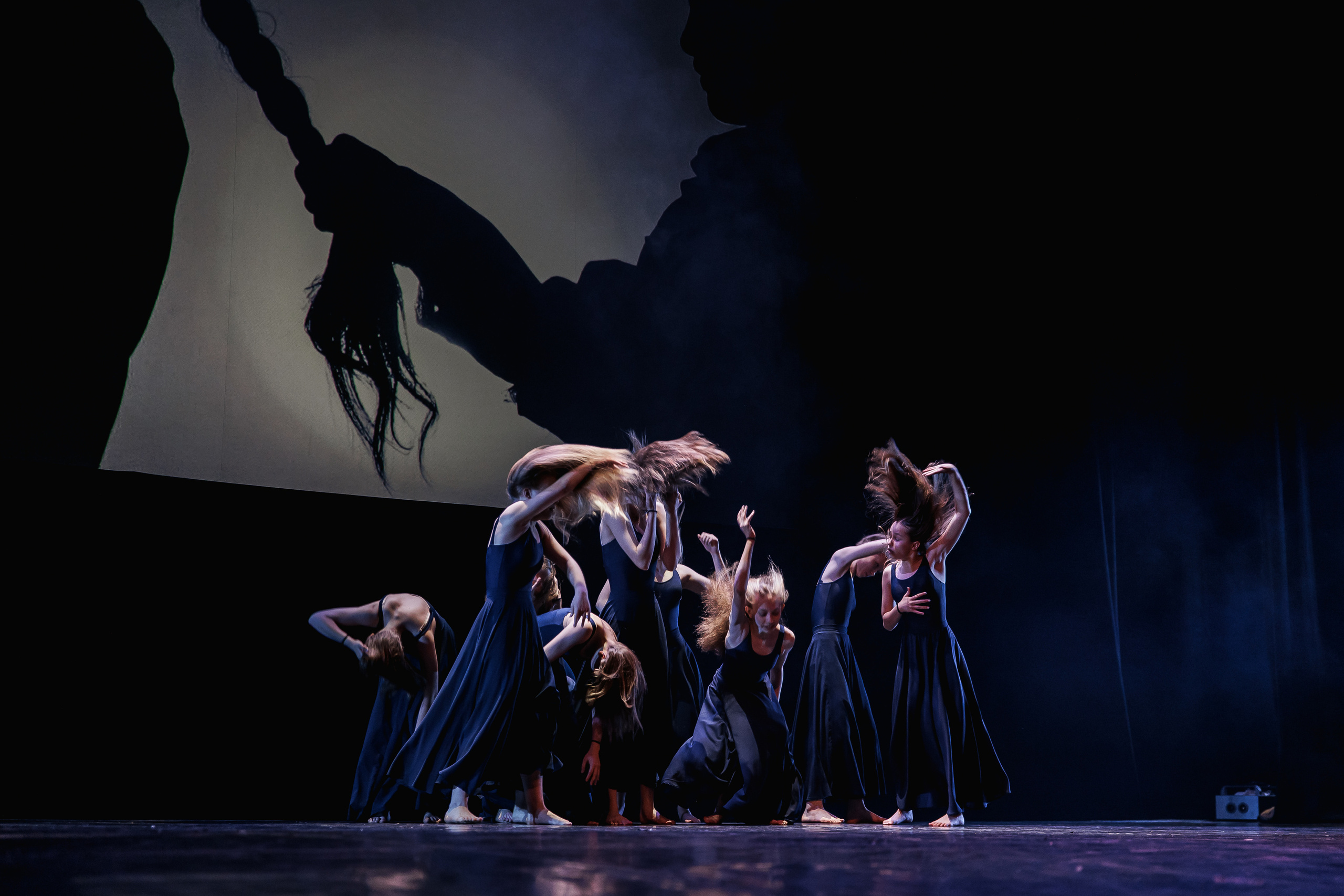 Зодиак — 20 лет