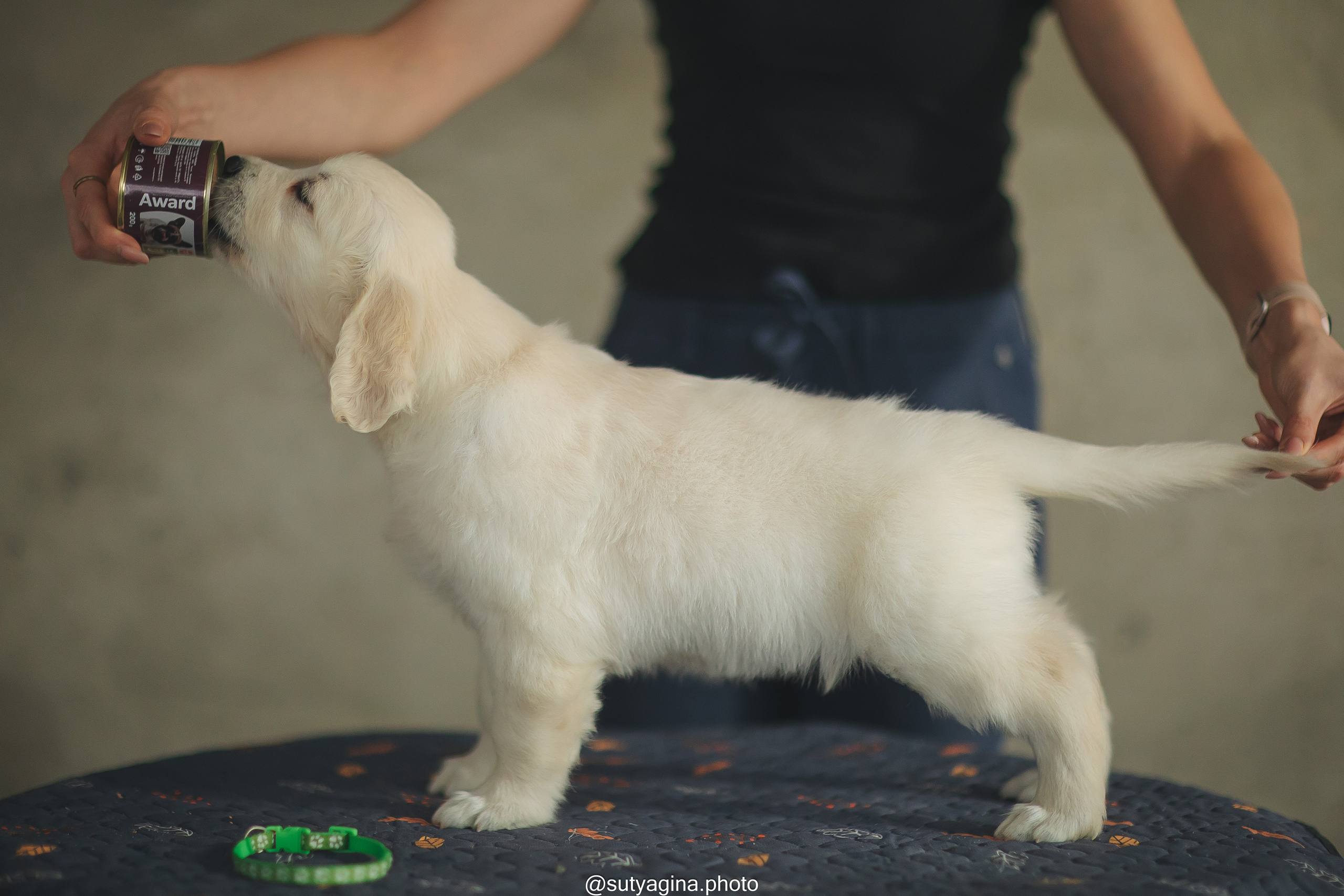 Зеленая лента. Свадебный и женский фотограф