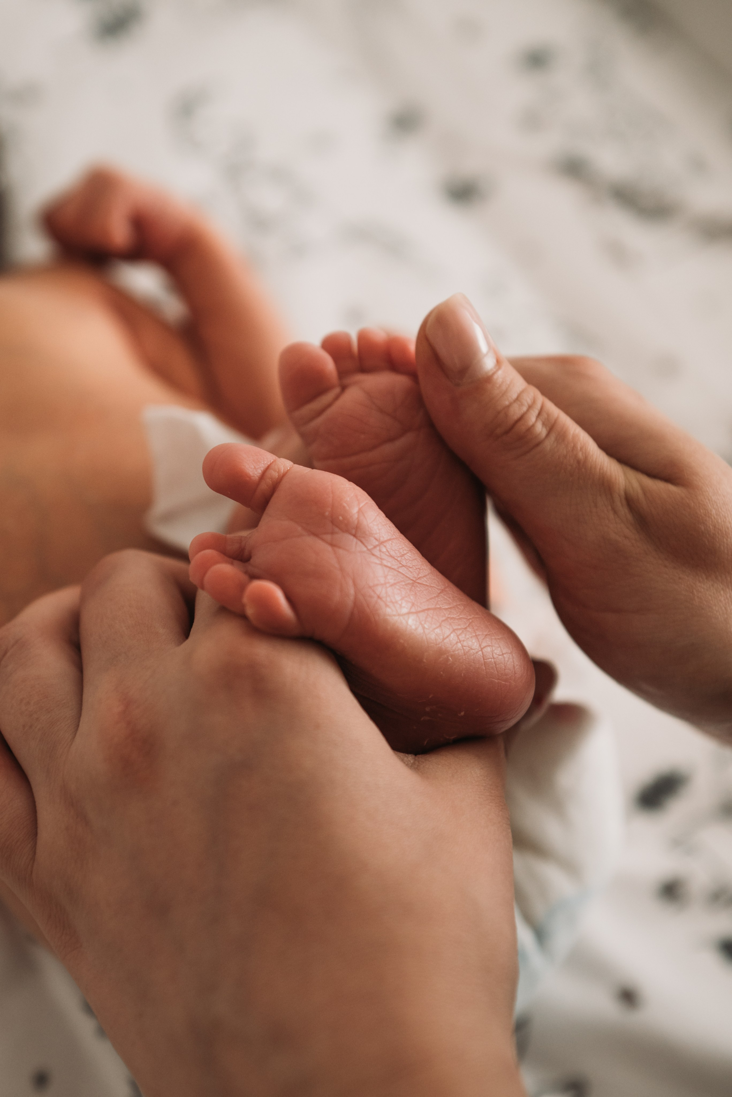 Мелисса. Фотограф в Санкт-Петербурге Пономарева Юлия