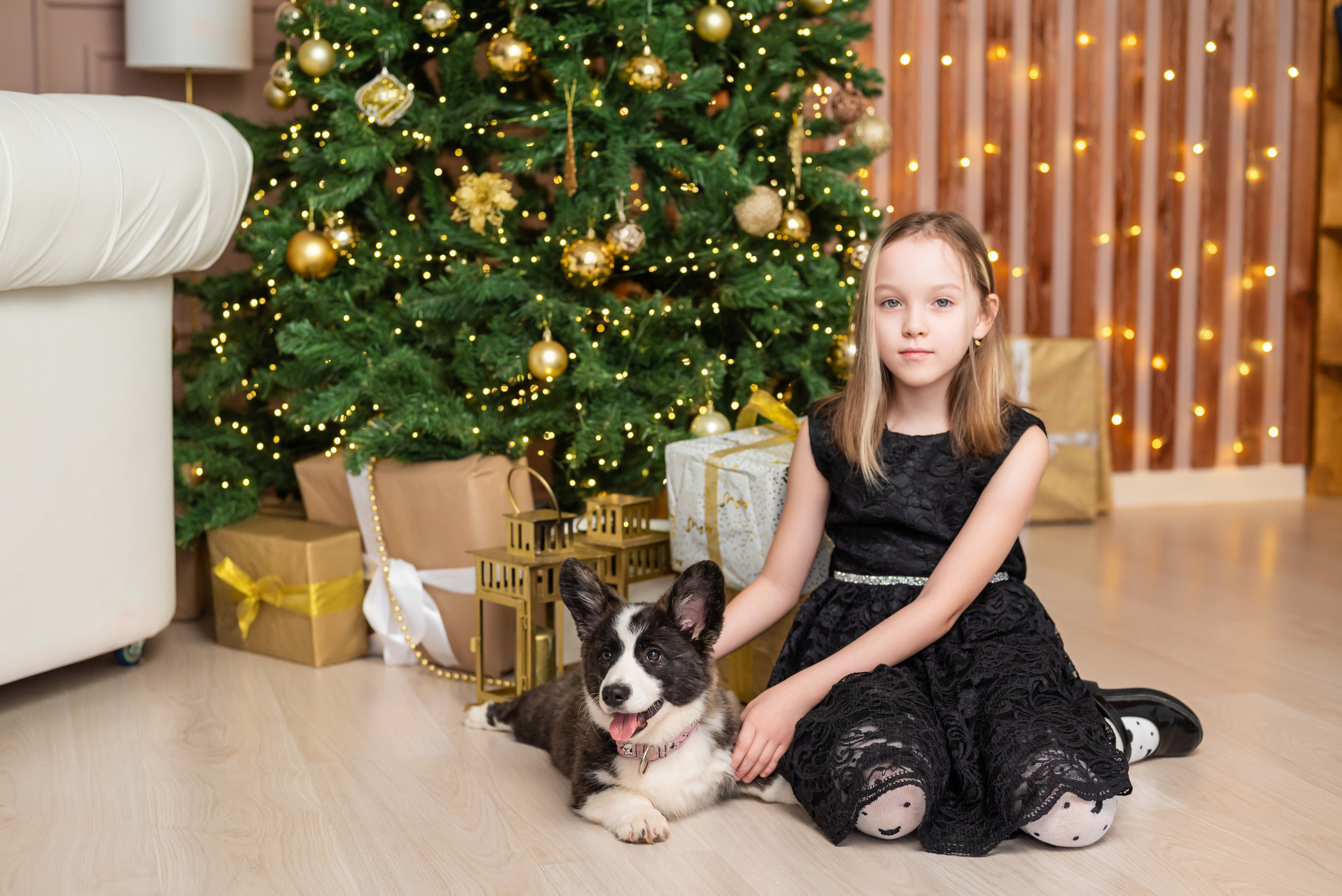 Фотопроект с корги. Фотограф в городе Салават