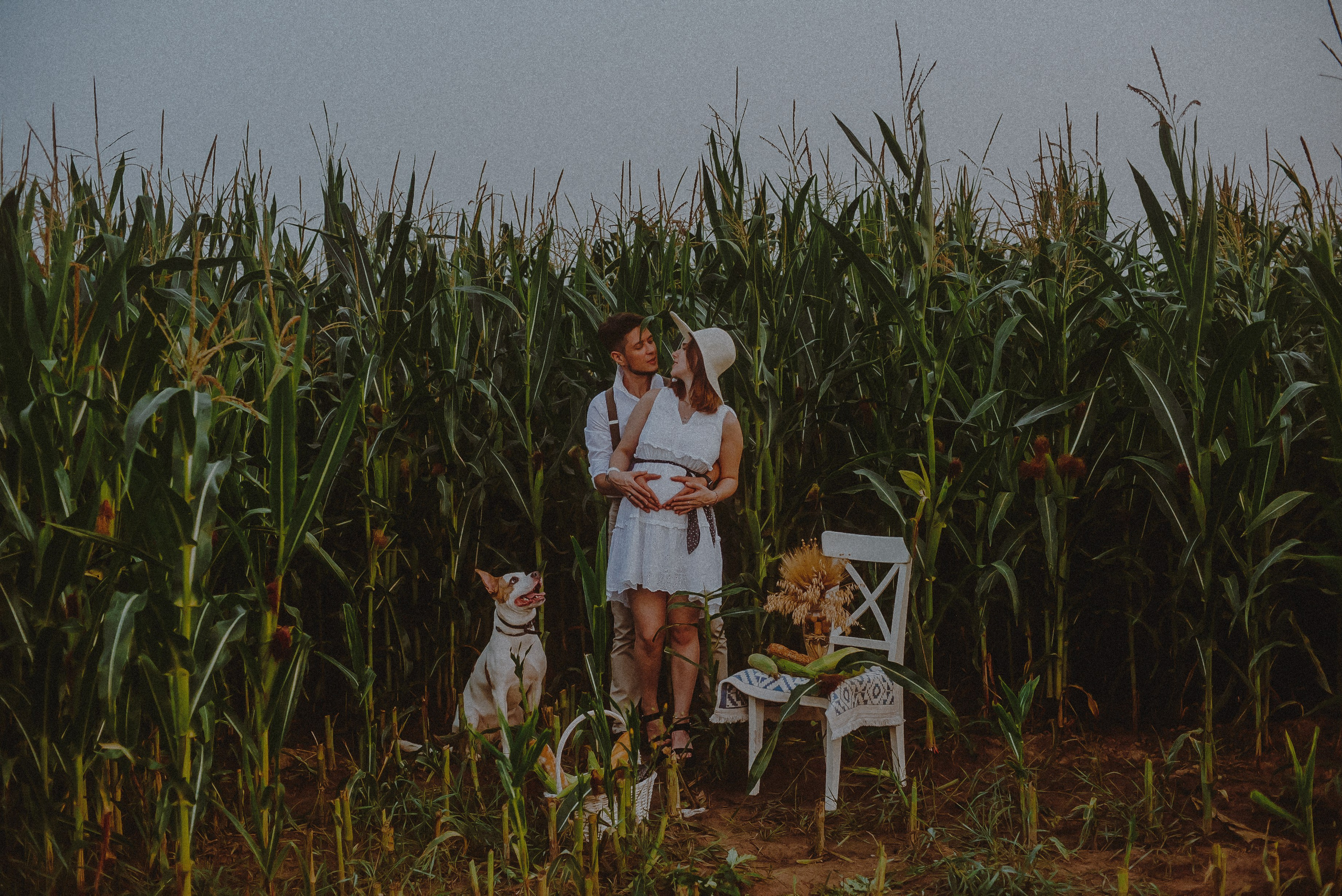 Кукуруза. Свадебный и семейный фотограф в Москве Сажина Кристина КиМ. Свадебный оператор в Москве Сажин Максим