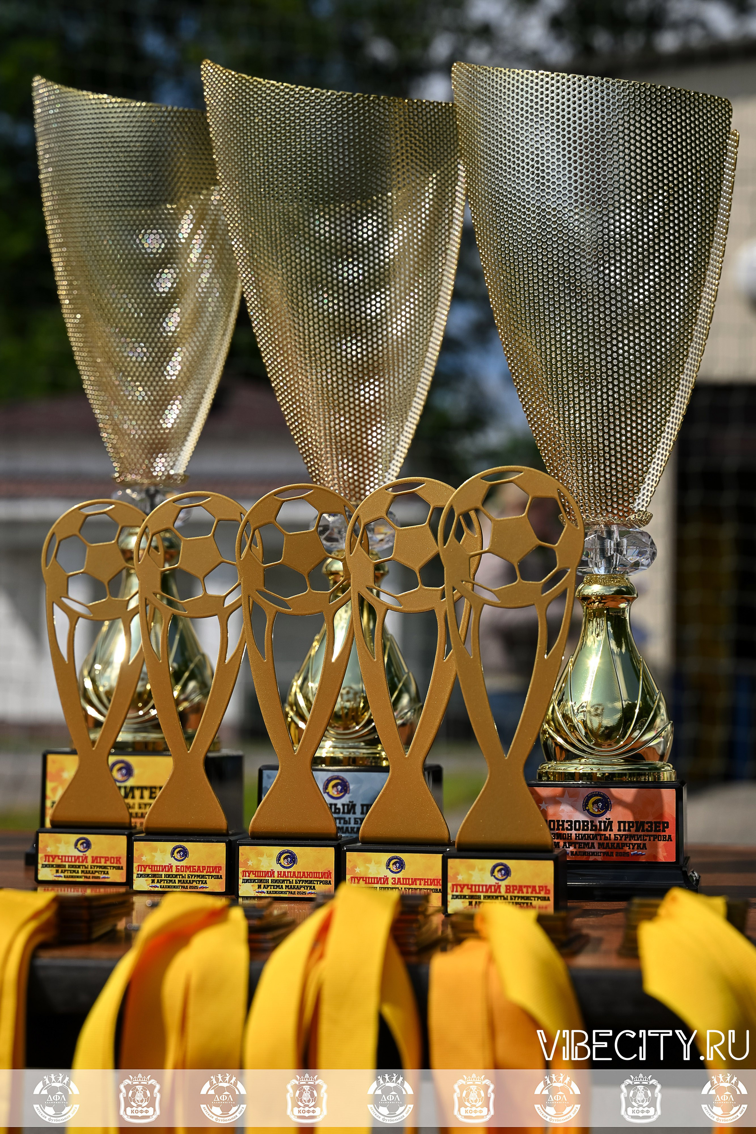 Большие Звезды светят Малым. VIBECITY.RU Вайб Сити Ру Фоторепортажи Фотоотчеты Калининград