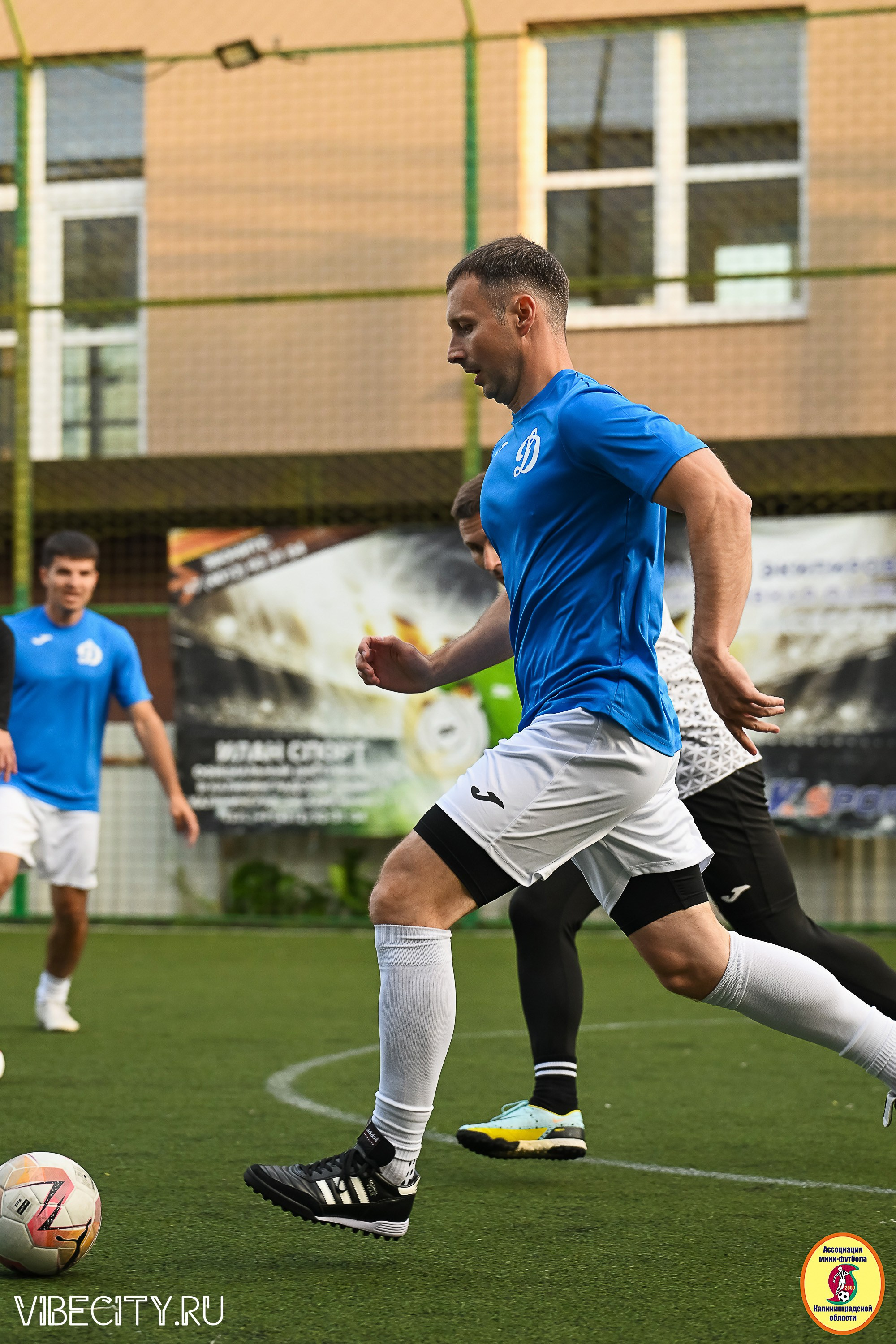 ИГРЫ ПЛЕЙ-ОФФ ПЕРВОГО ДИВИЗИОНА МИНИ-ФУТБОЛЬНОЙ ЛИГИ. VIBECITY.RU Вайб Сити Ру Фоторепортажи Фотоотчеты Калининград