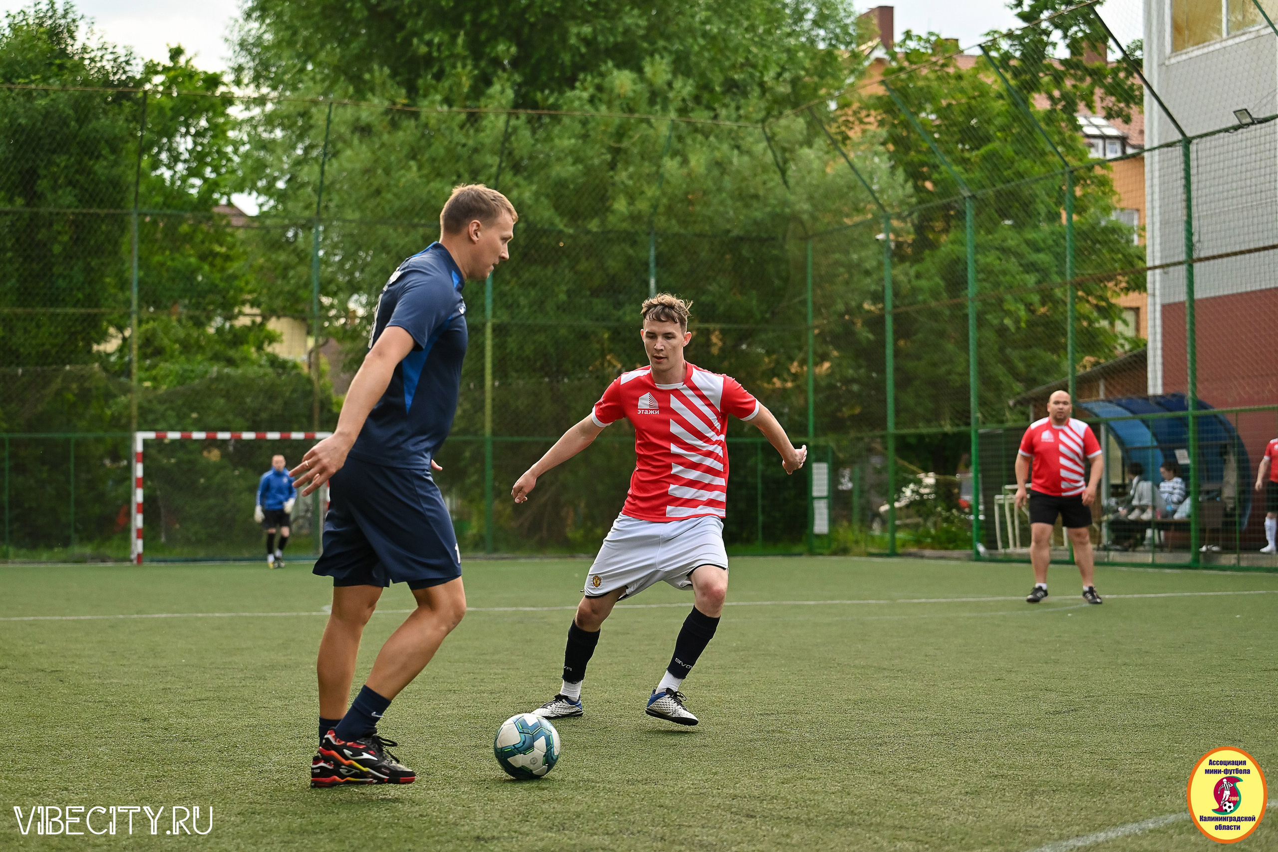 ИГРЫ МИНИ-ФУТБОЛЬНОЙ И КОРПОРАТИВНОЙ ЛИГИ. VIBECITY.RU Вайб Сити Ру Фоторепортажи Фотоотчеты Калининград