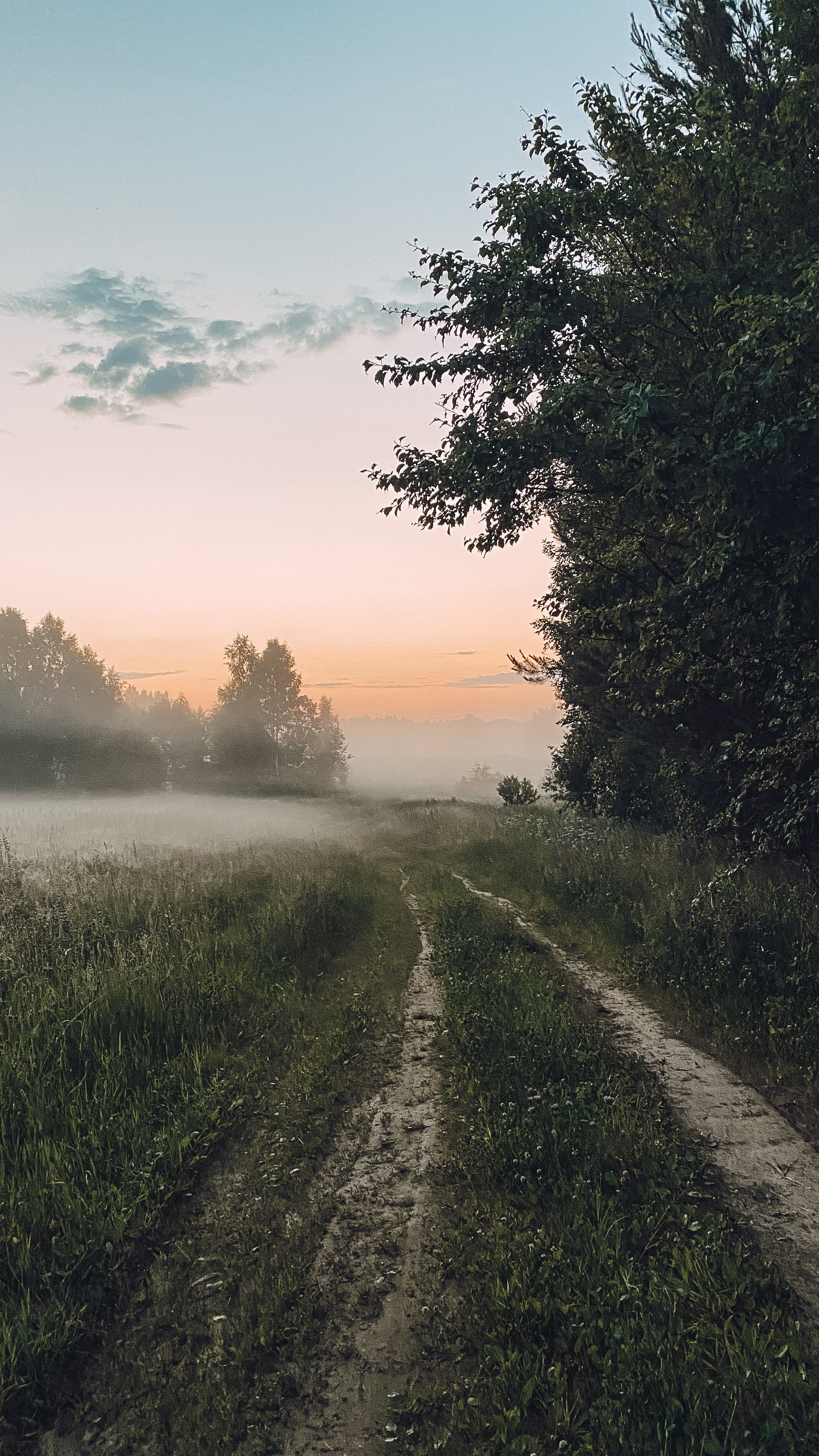 Природа. Фотограф Ольга Мурзина