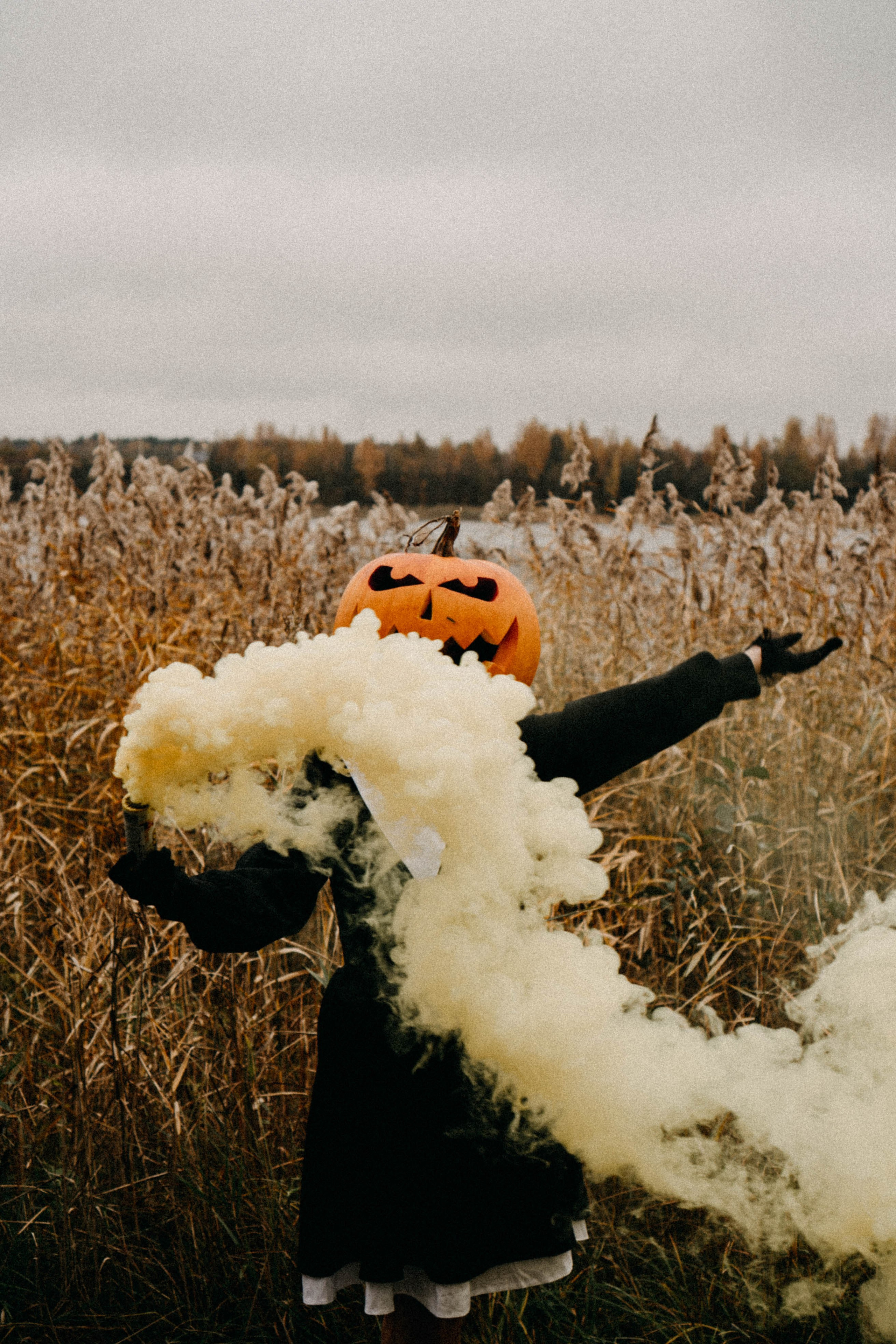 Осеняя. Профессиональный фотограф, Санкт-Петербург — Виктория Богомолова