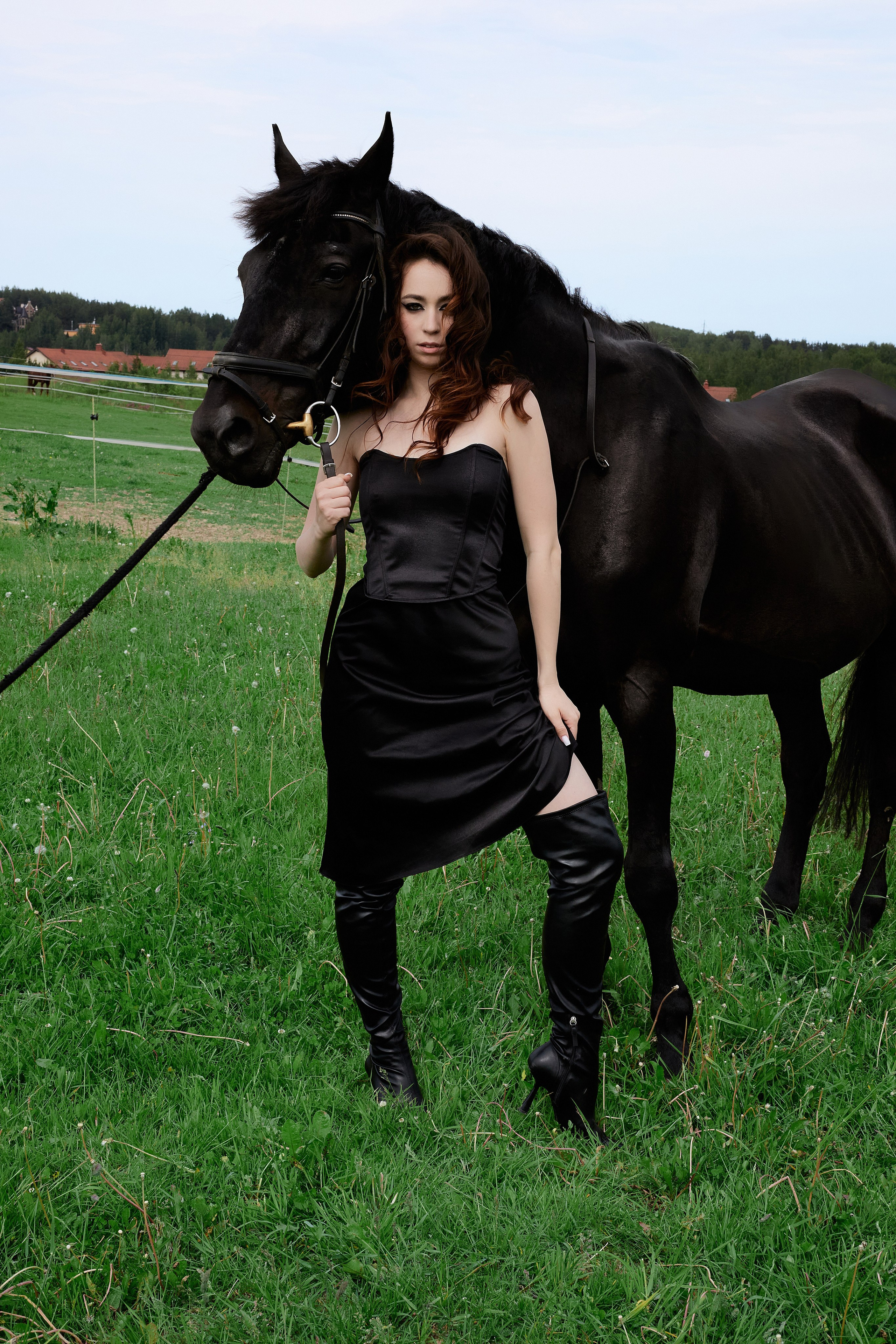 The black horse. Фотограф Надежда Куксина