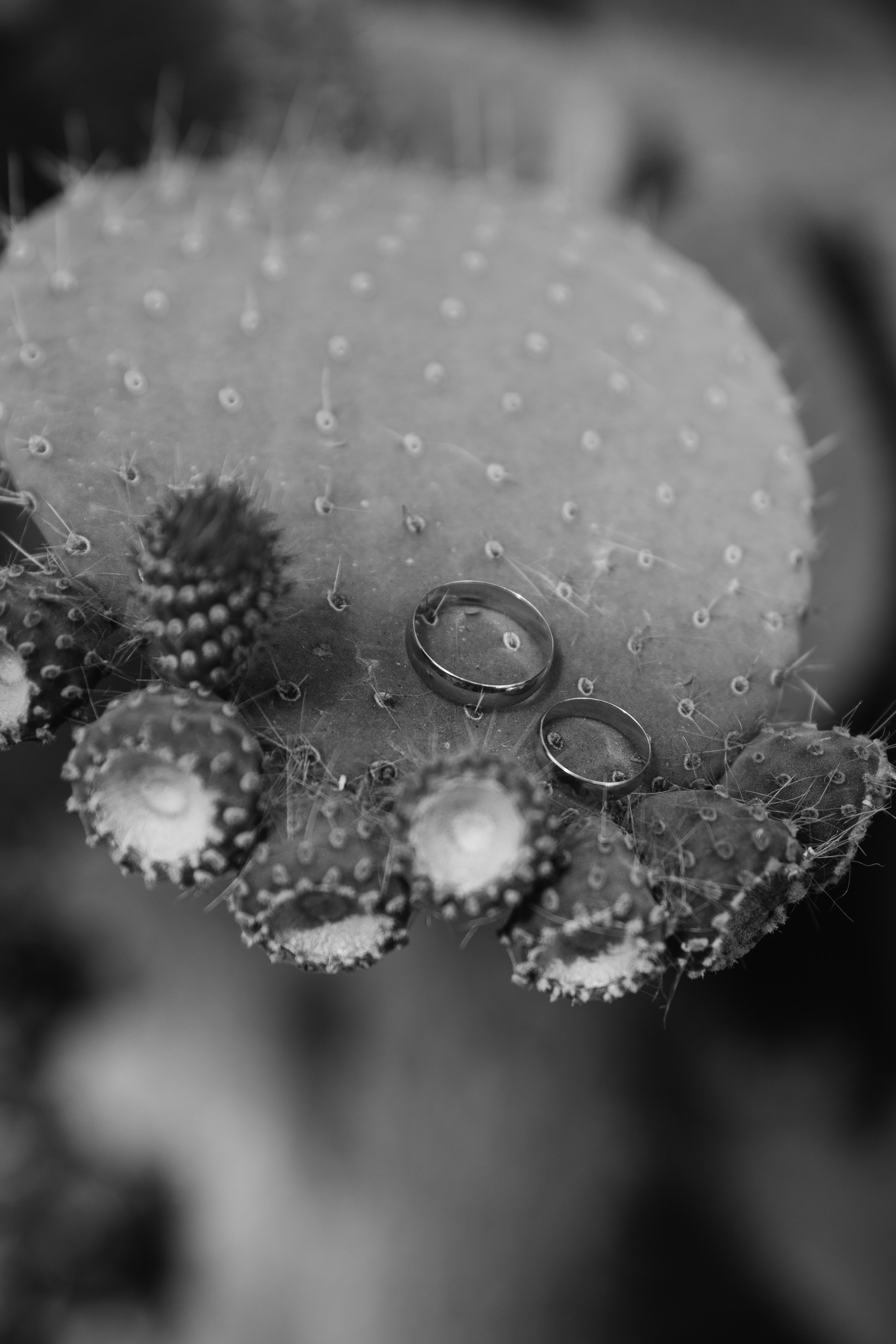 Оля и Кирилл. Катерина Макиева