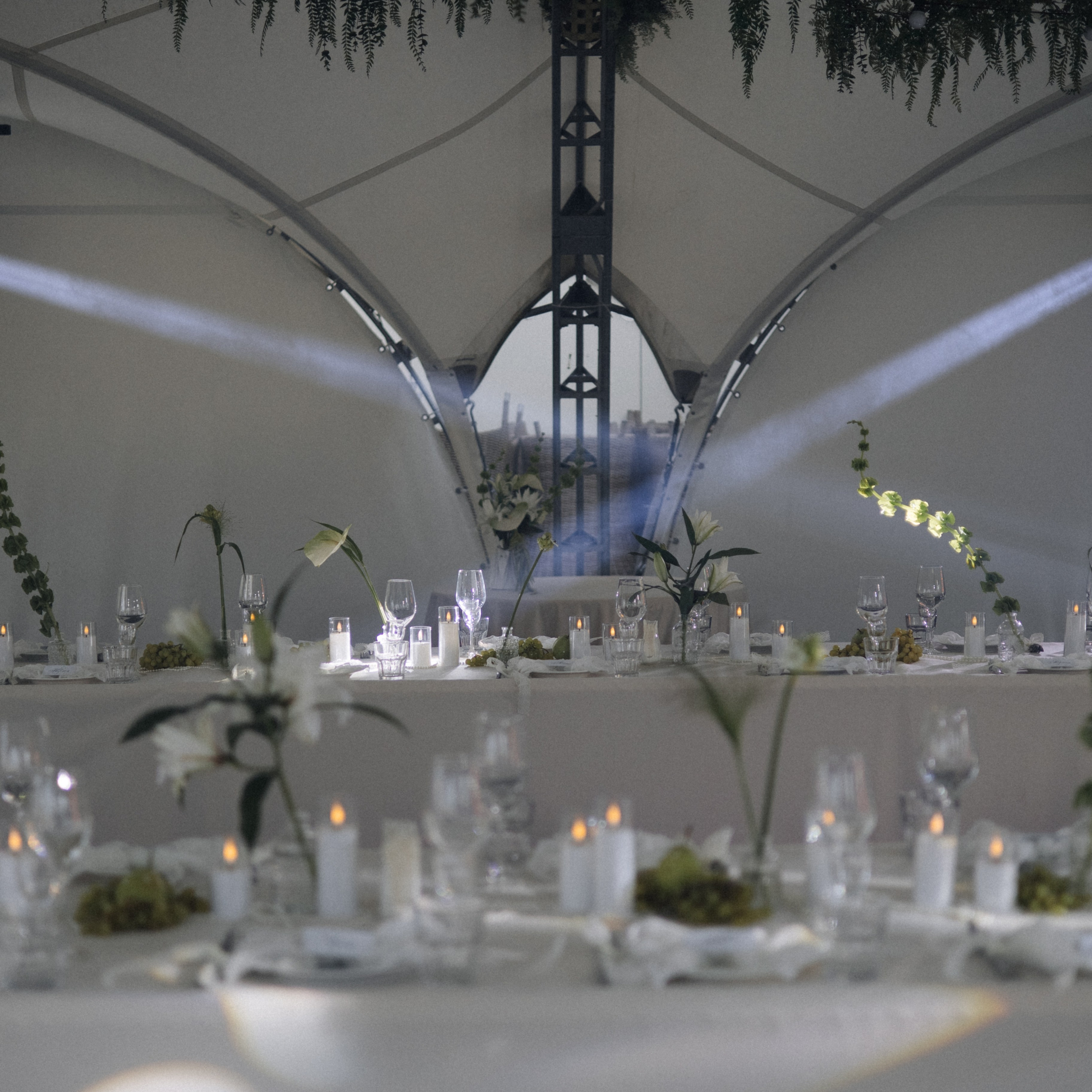 Наши планы на лето — жениться. Свадебный и портретный фотограф Екатерина Моргунова