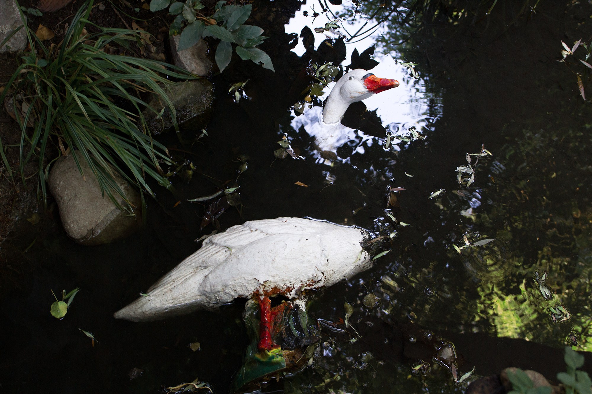 Second horseman. Alexander Zorin