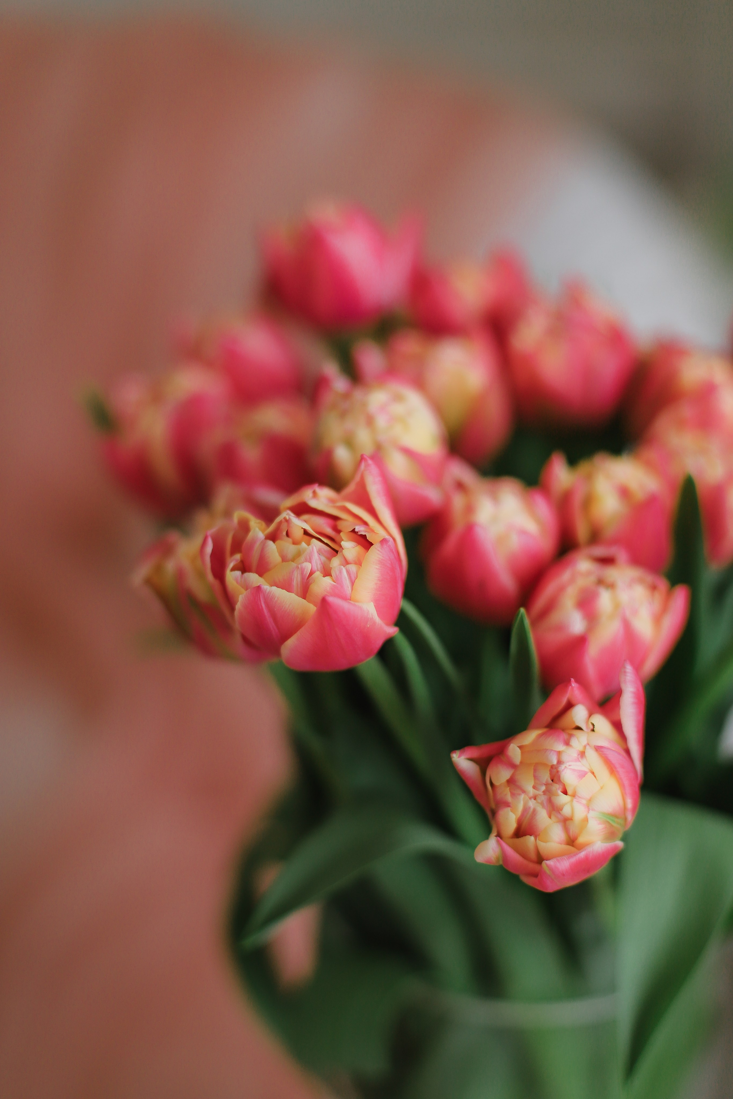 Весенний фотодень, Герда. Свадебный, семейный и детский фотограф в Люберцах Зайцева Анастасия
