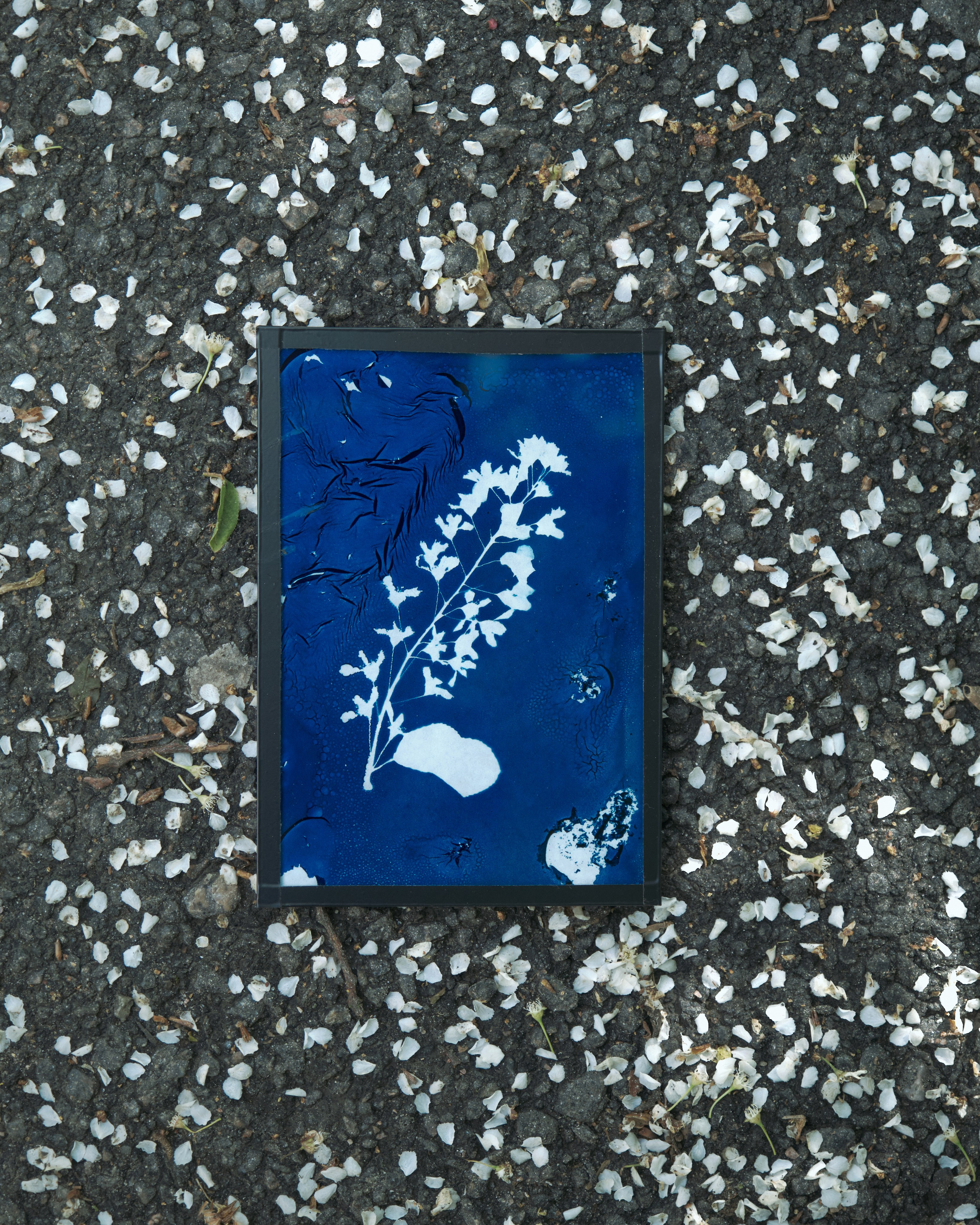 Alternative processe. Maria Norden