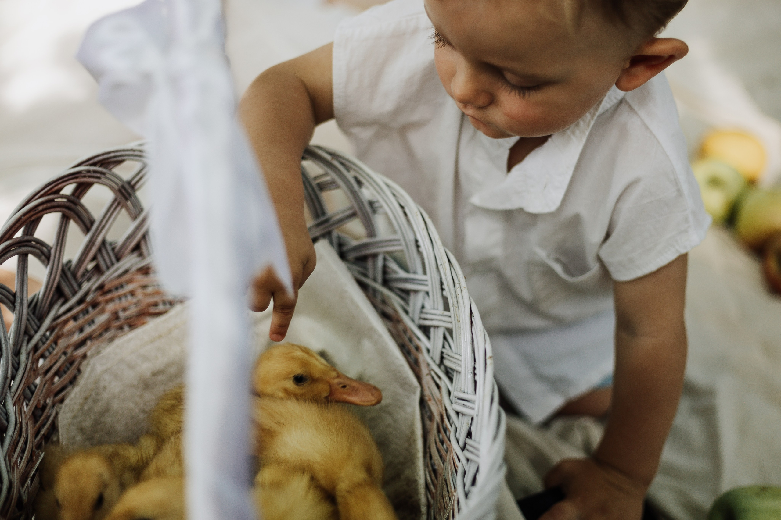 Артем, Вероника и Арсений на пикнике. Фотограф в Крыму | Виктория Нотевская